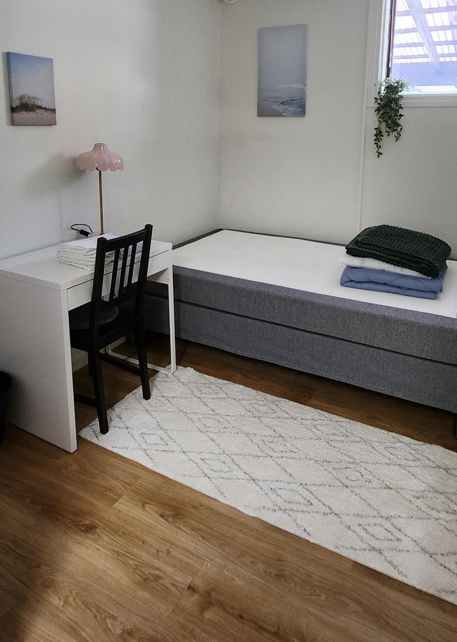 Single Room photo 1