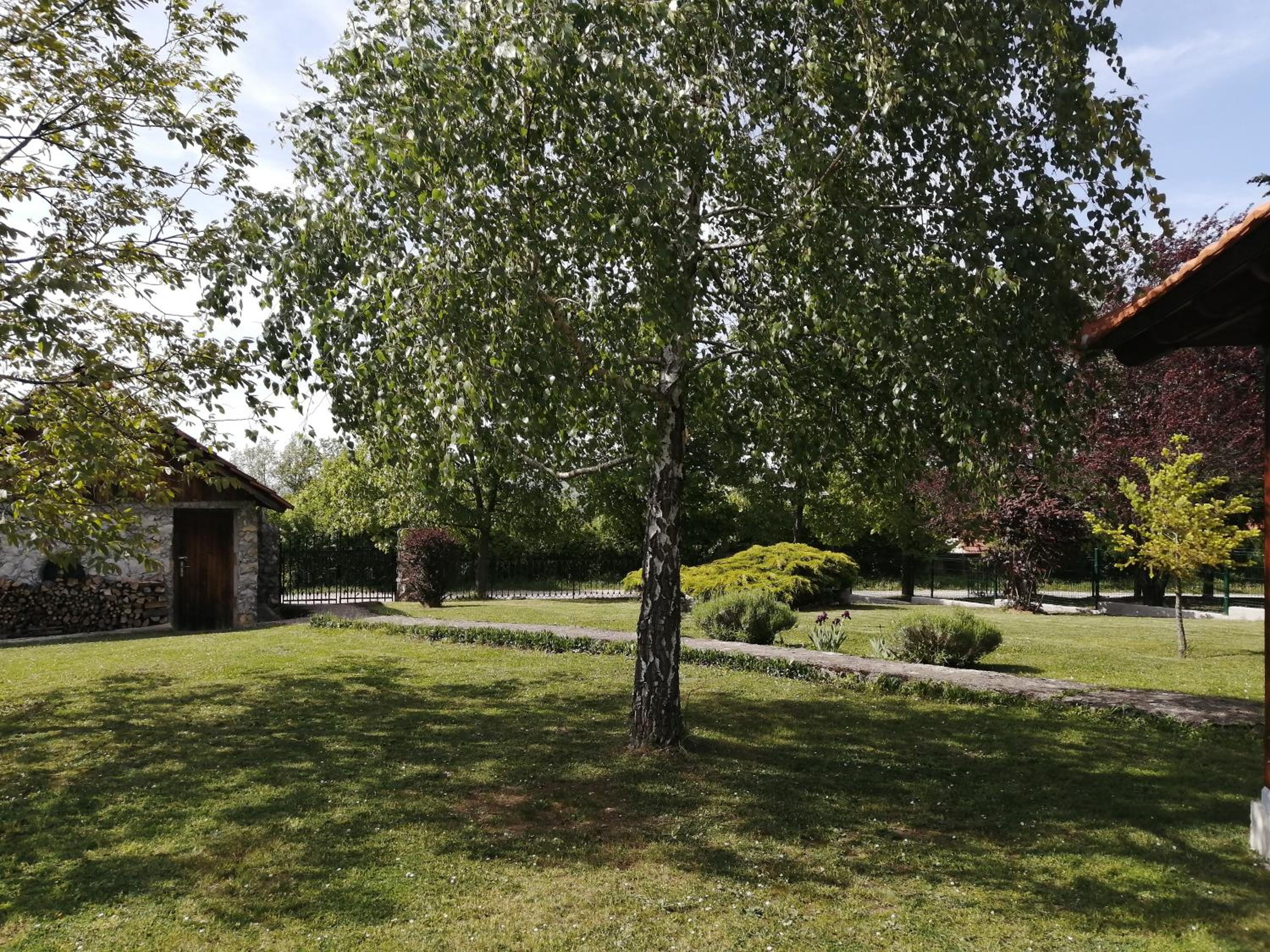 Three-Bedroom House photo 2