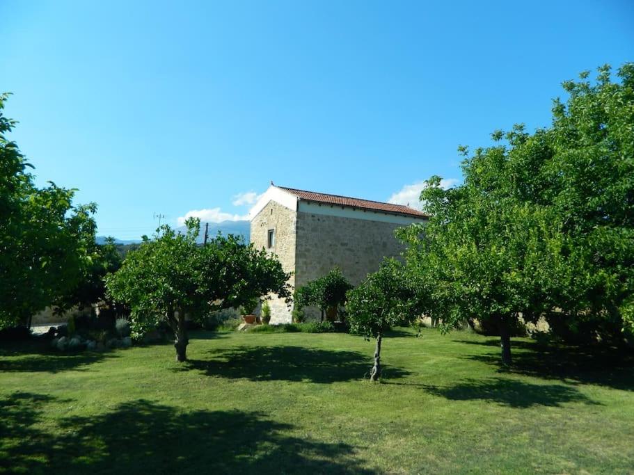 Two-Bedroom Villa photo 2