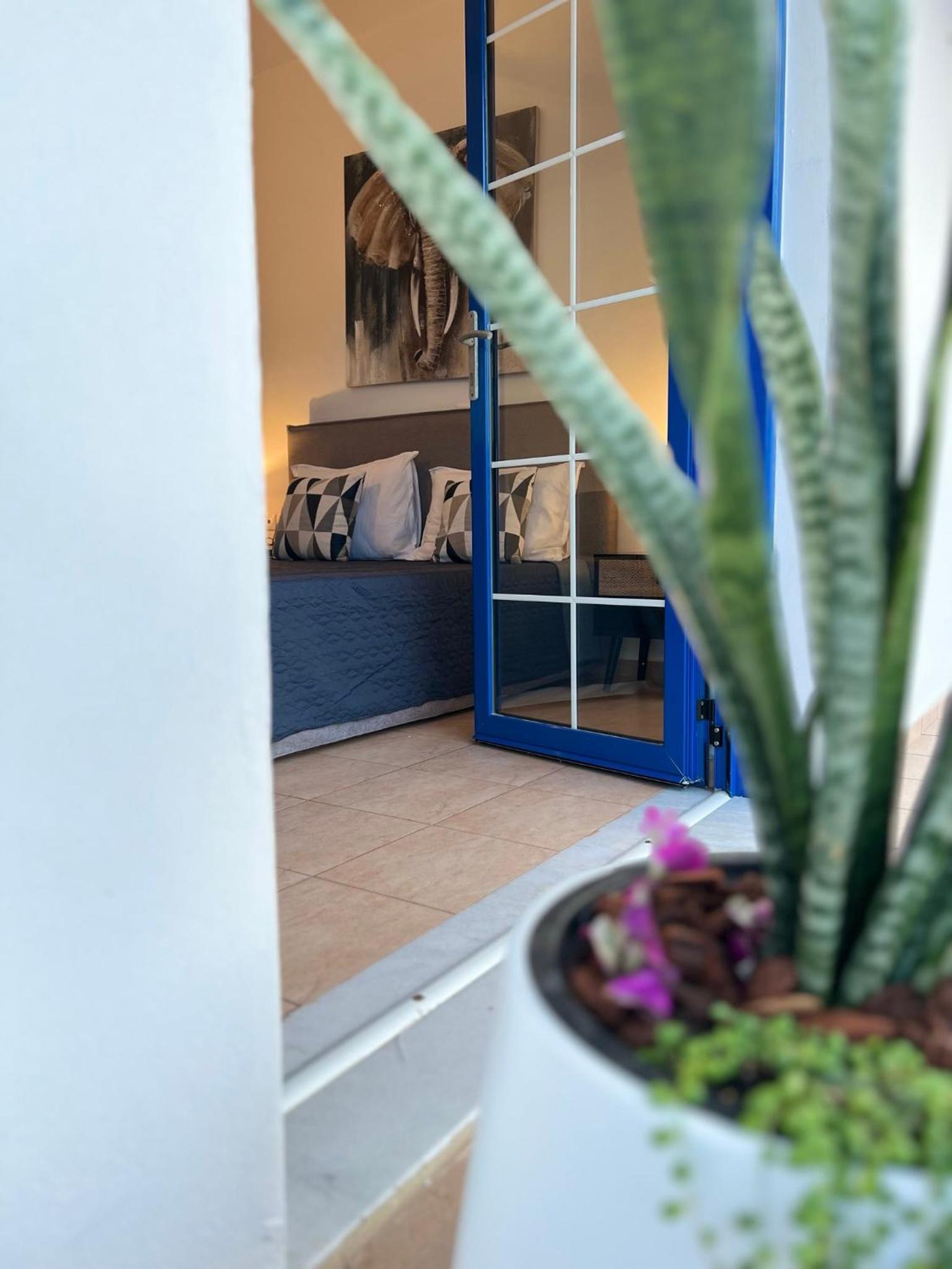 Studio with Terrace