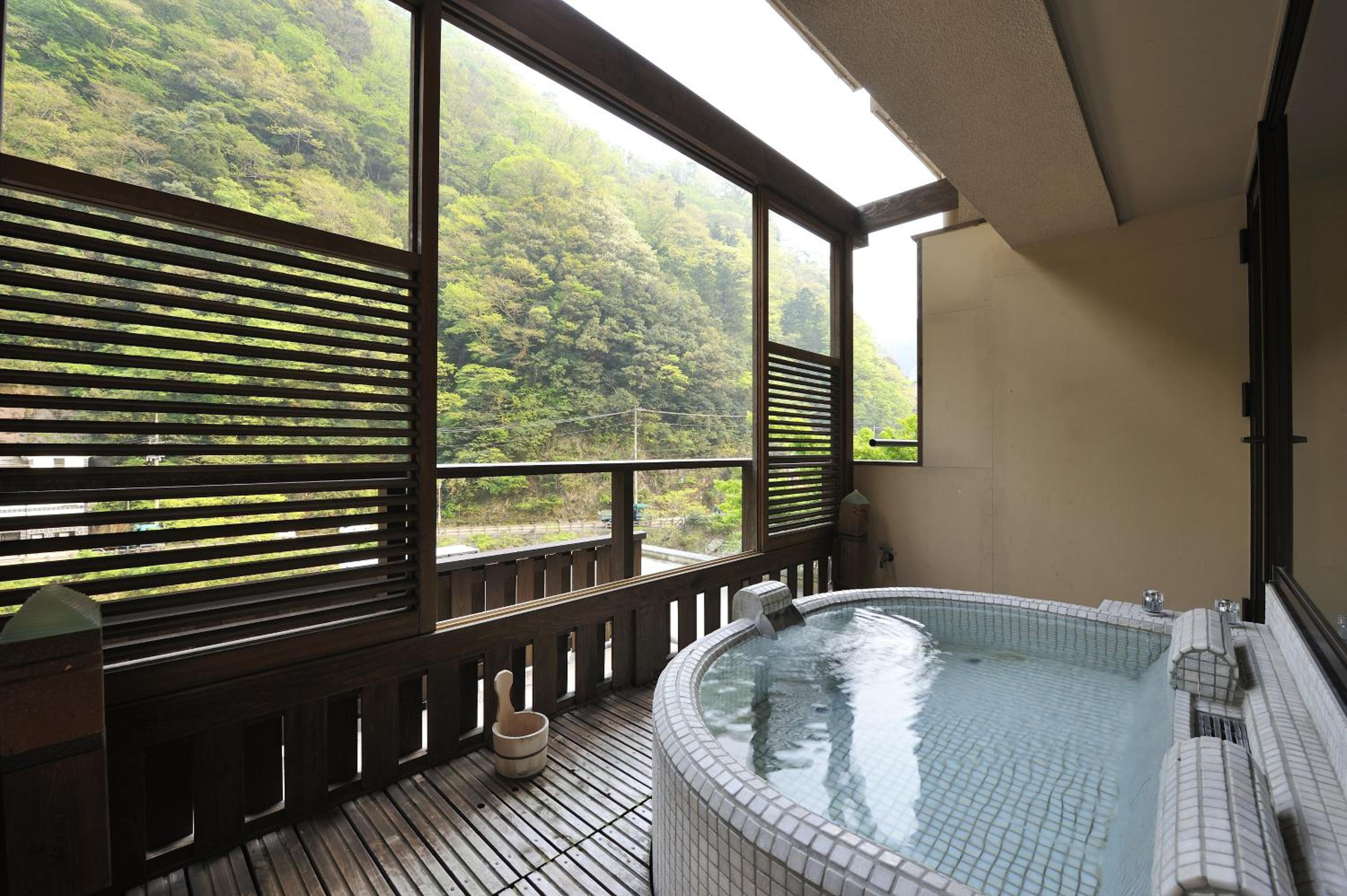 Suite with River View photo 2