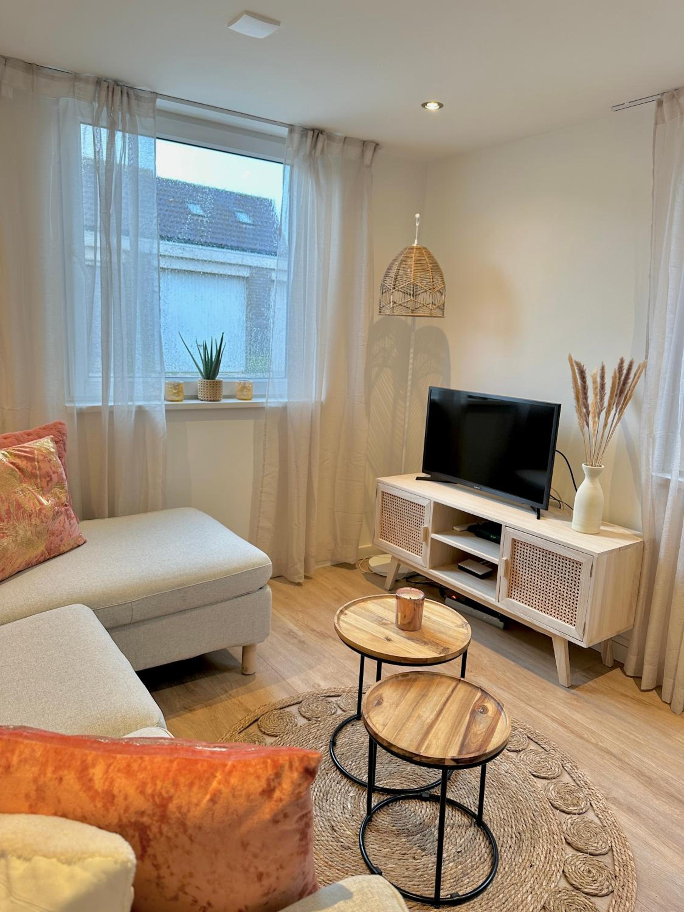 One-Bedroom Apartment photo 3