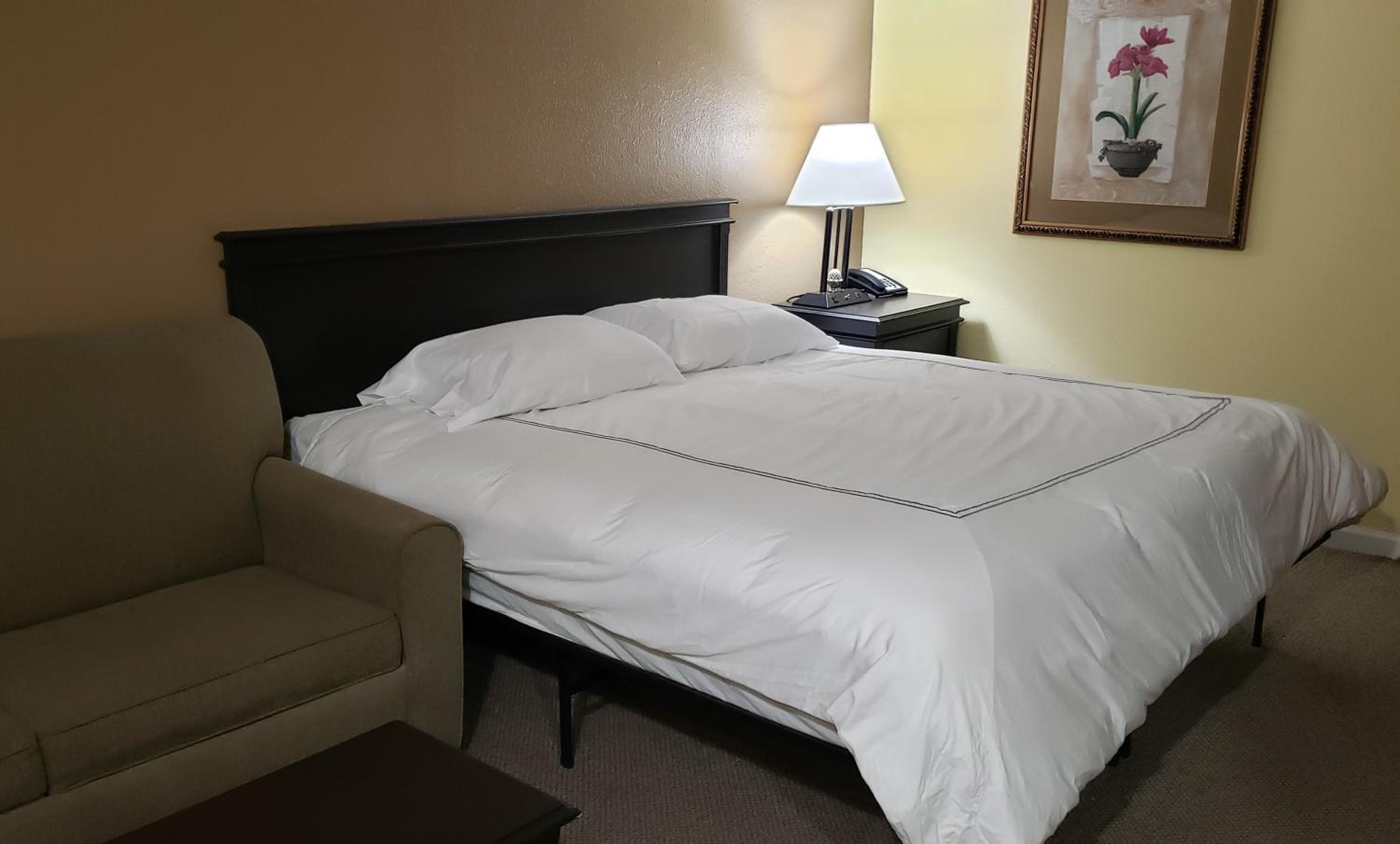 King Room photo 1