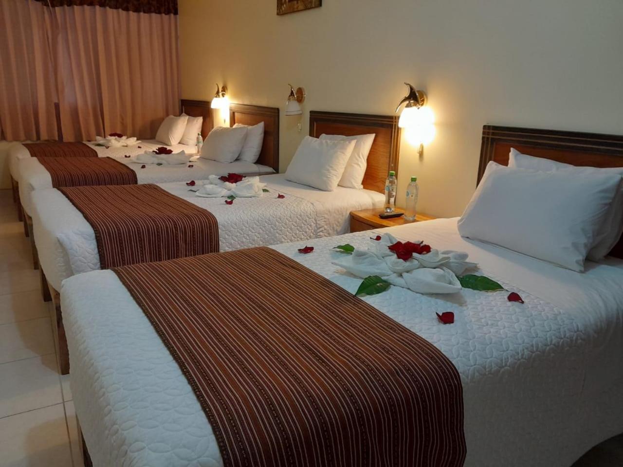 Comfort Quadruple Room photo 1