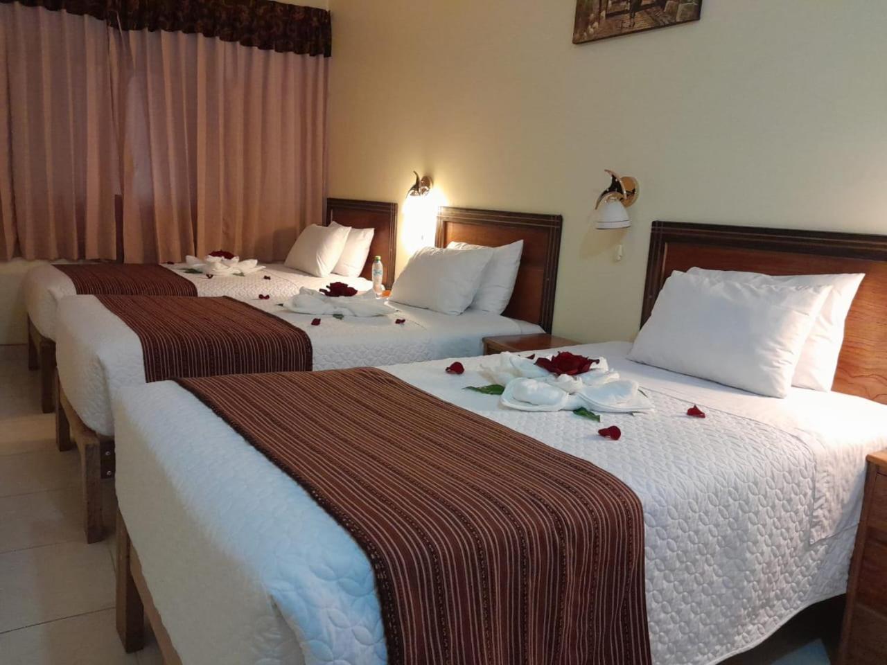 Comfort Quadruple Room photo 2