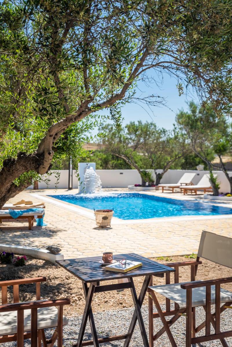Double Room with Pool View photo 2