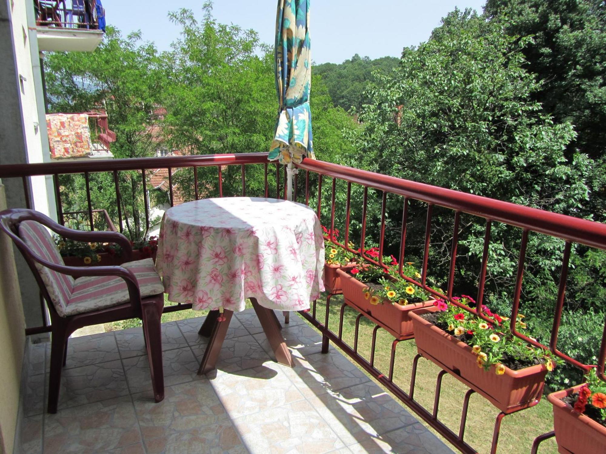 Studio with Terrace photo 2