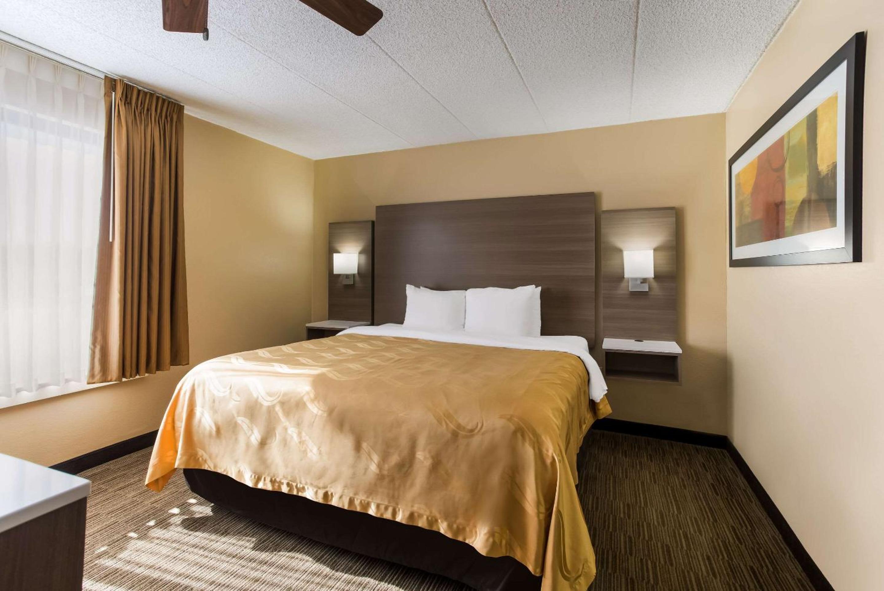 King Suite photo 3