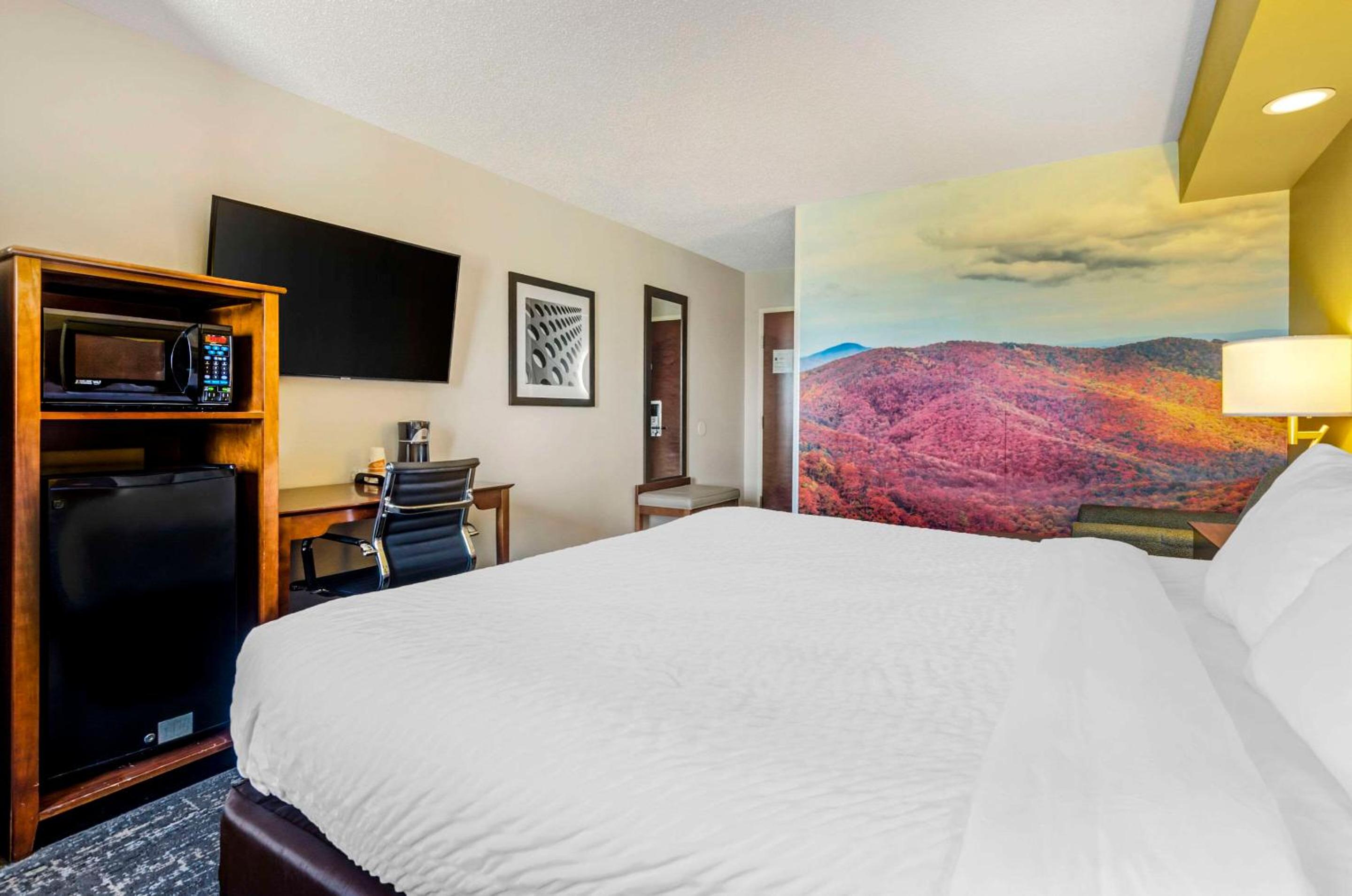 King Room - Non-Smoking - Photo 5