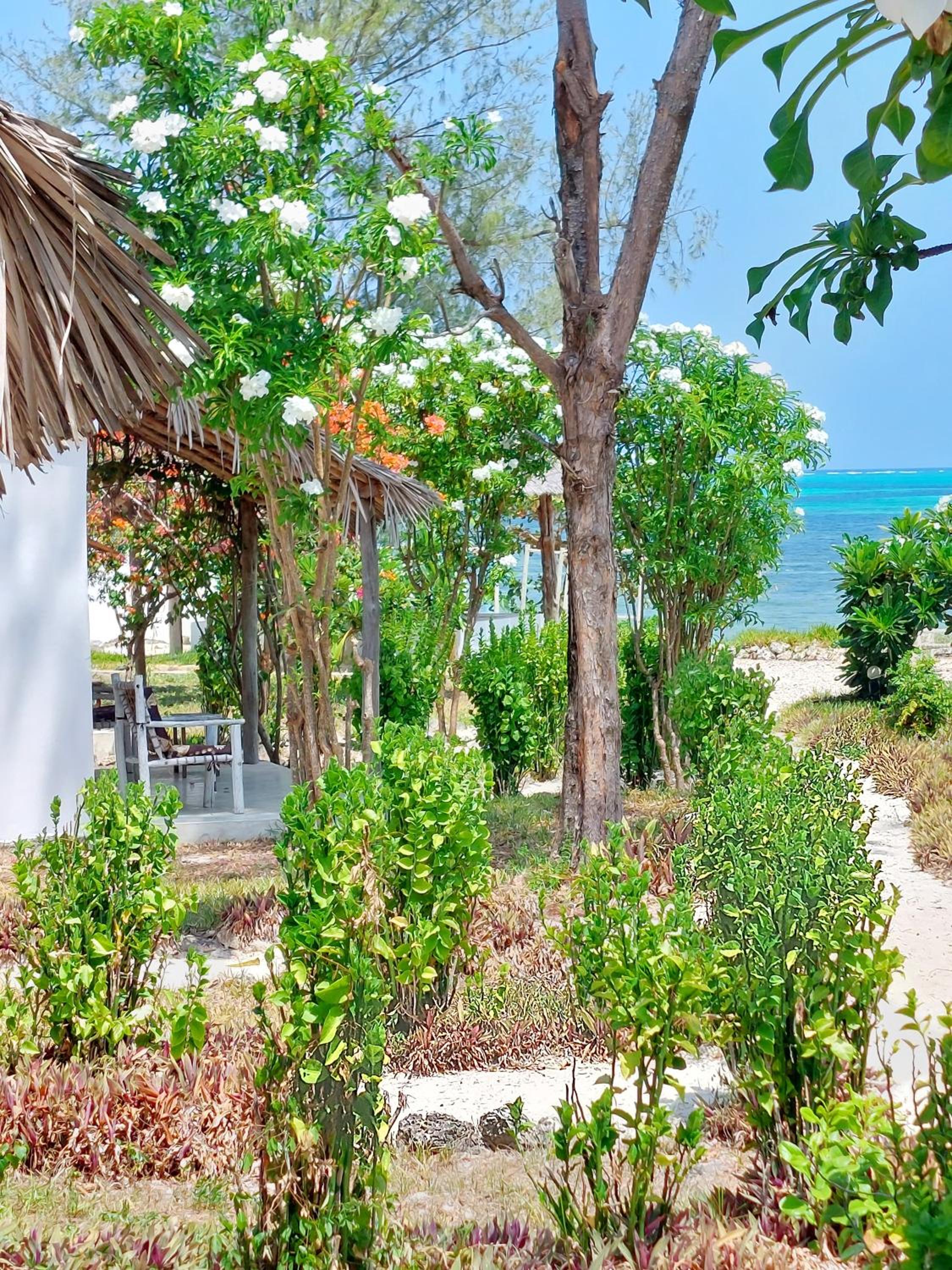 Double Room with Sea View - Photo 5