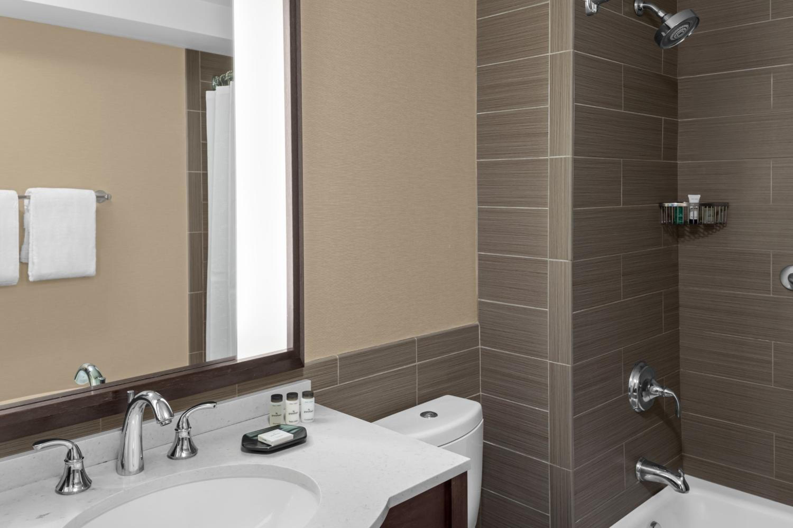 Deluxe Suite photo 3