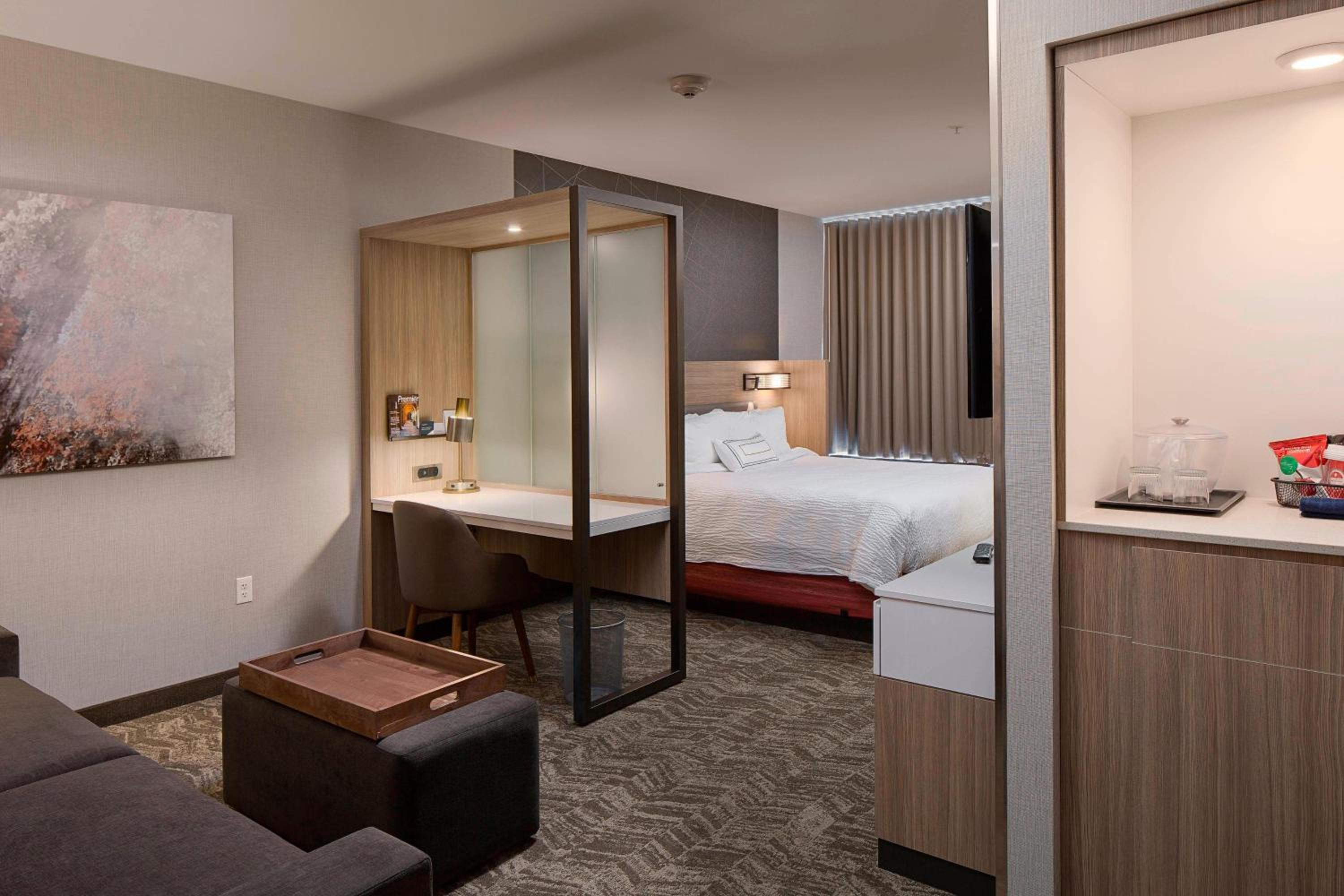 King Suite with Sofa Bed photo 2