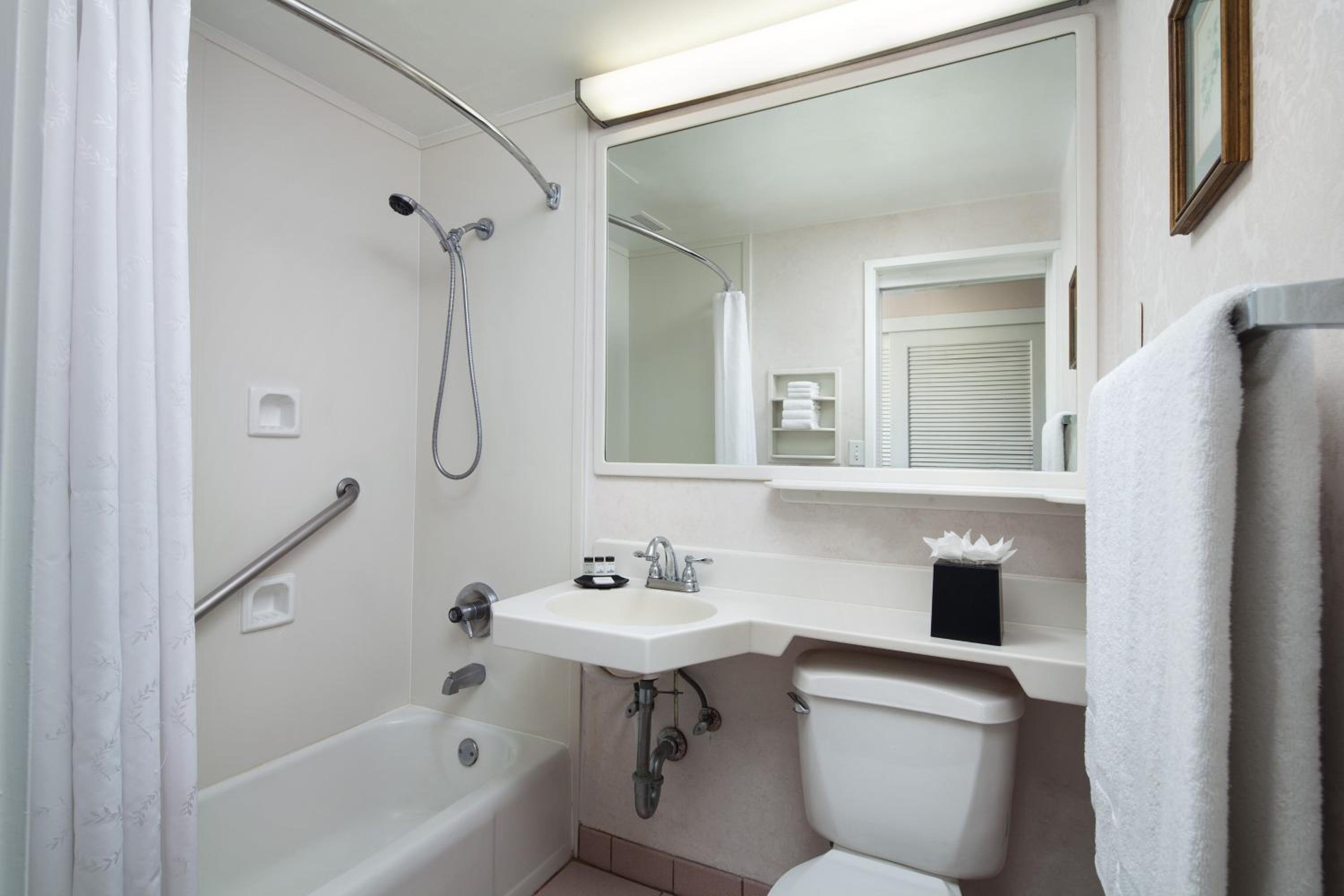Princess Ocean Double, Guest room, 2 Double, Ocean view