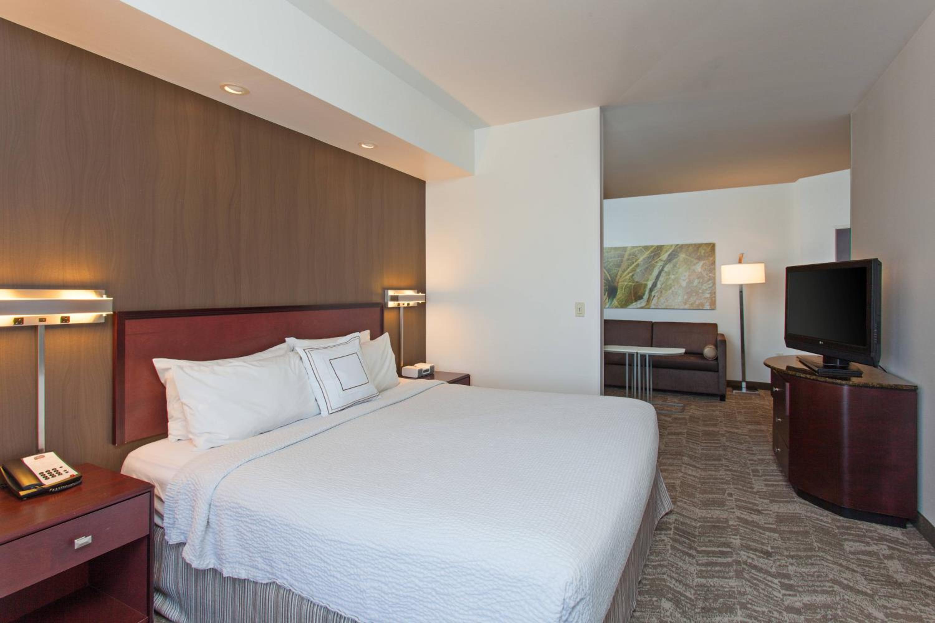 King Suite with Sofa Bed - Photo 1