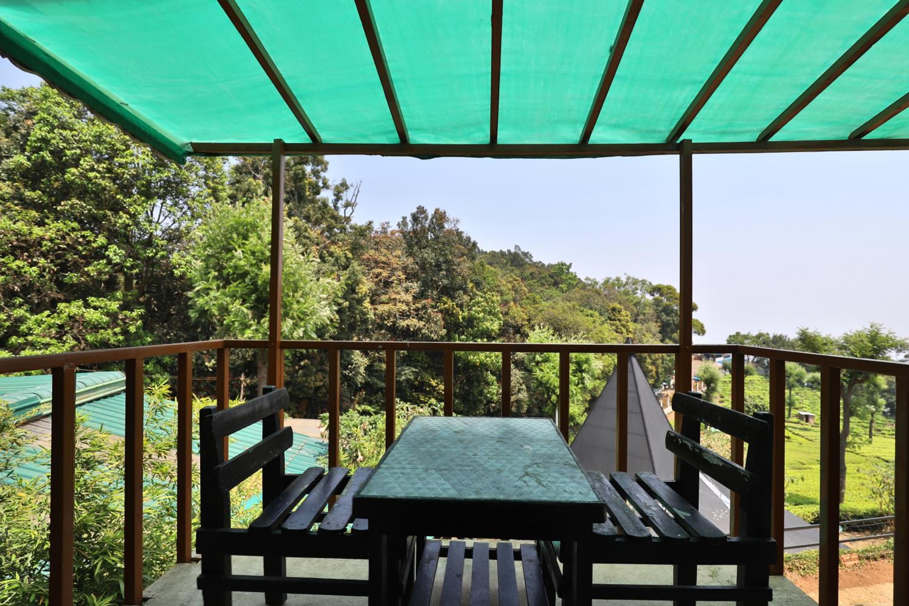 Rainforest Room - Photo 3