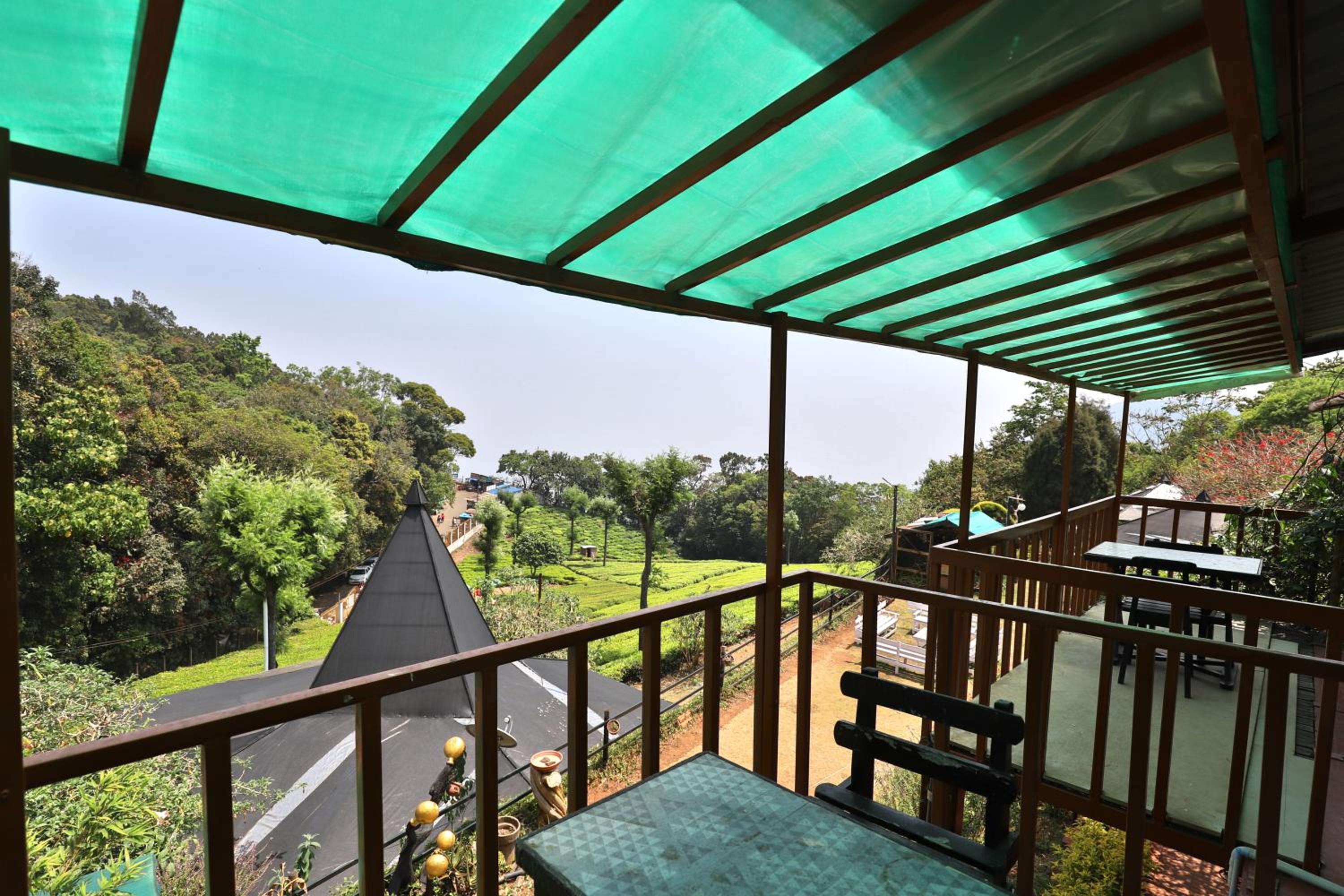 Rainforest Room - Photo 18