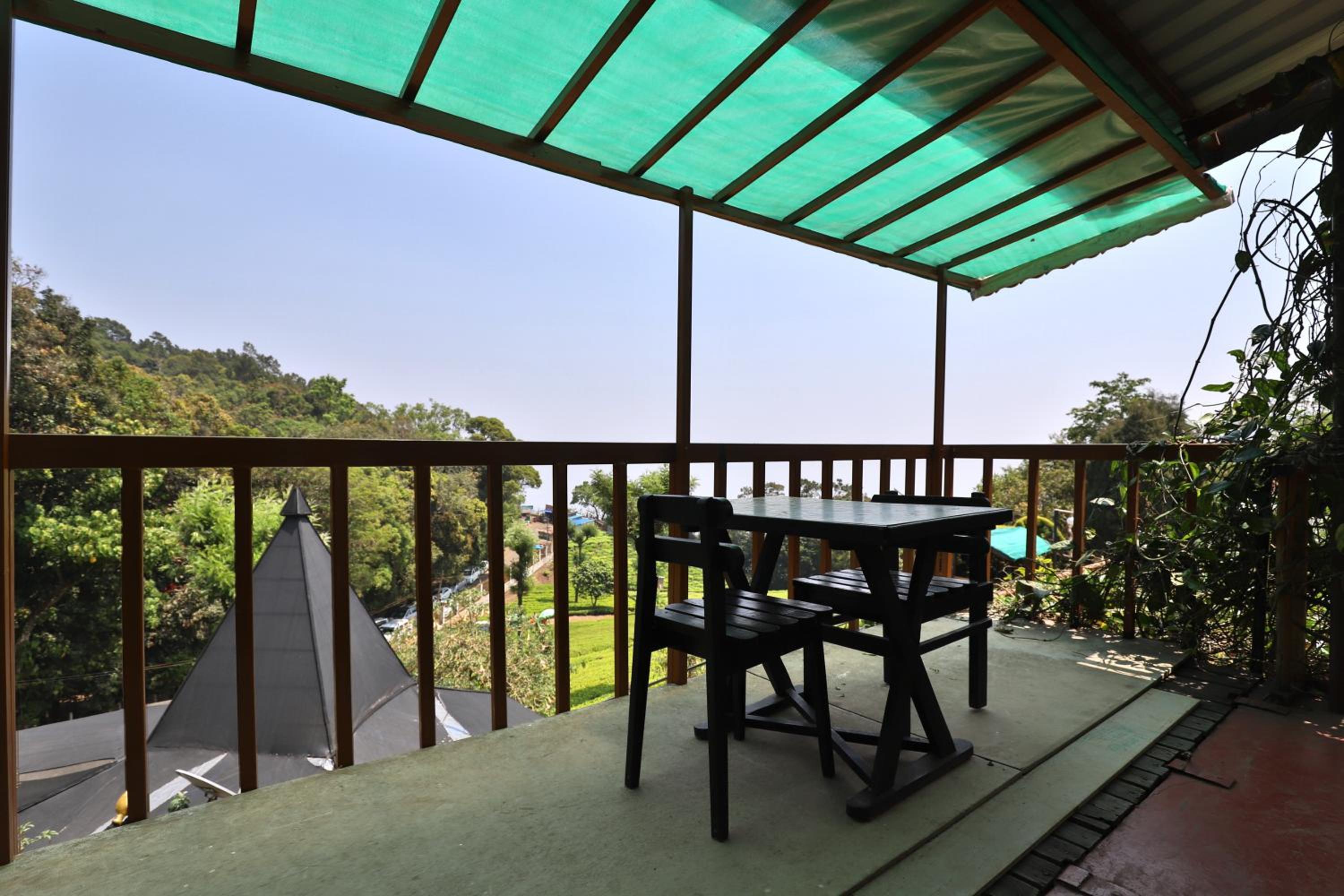 Rainforest Room - Photo 17