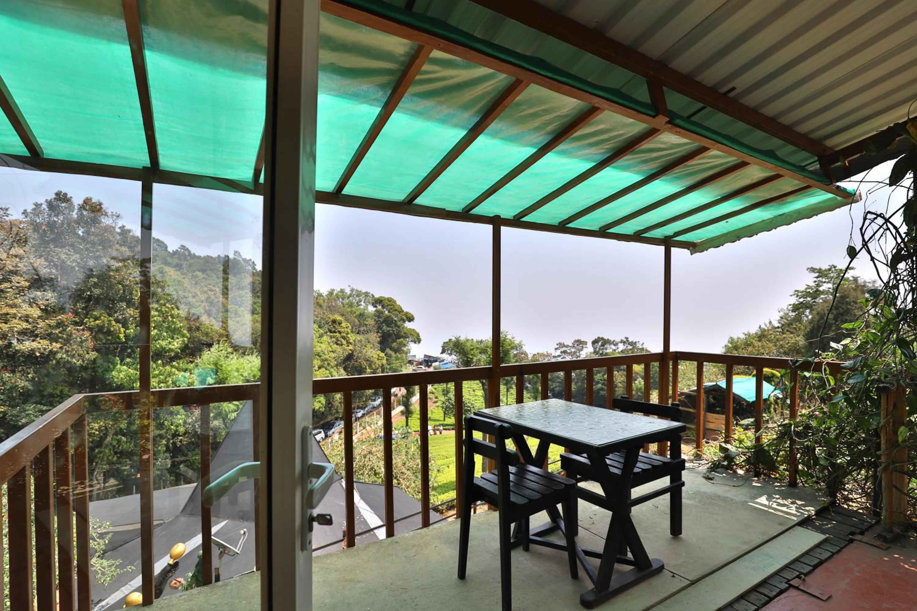 Rainforest Room - Photo 12