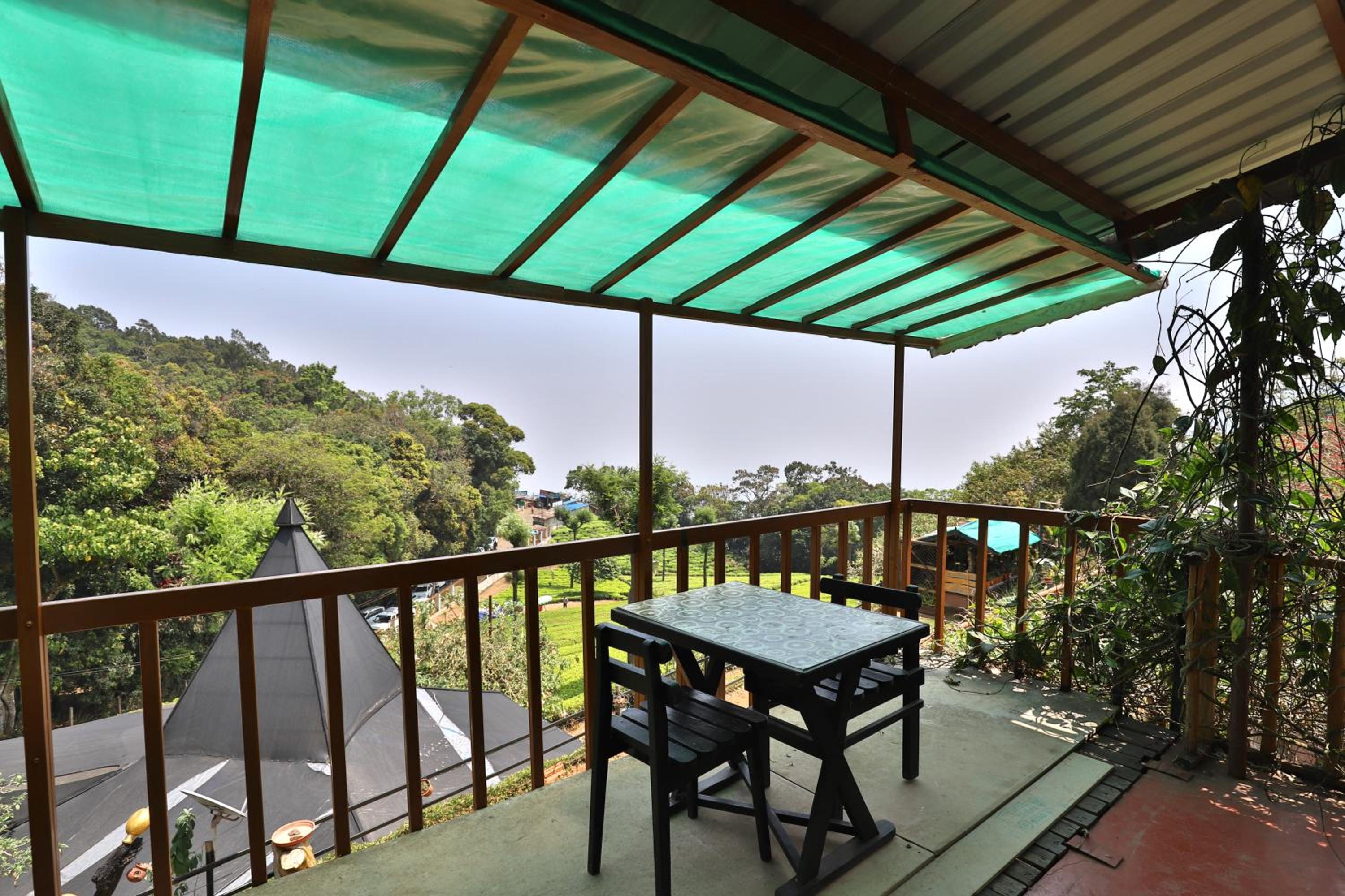 Rainforest Room - Photo 14