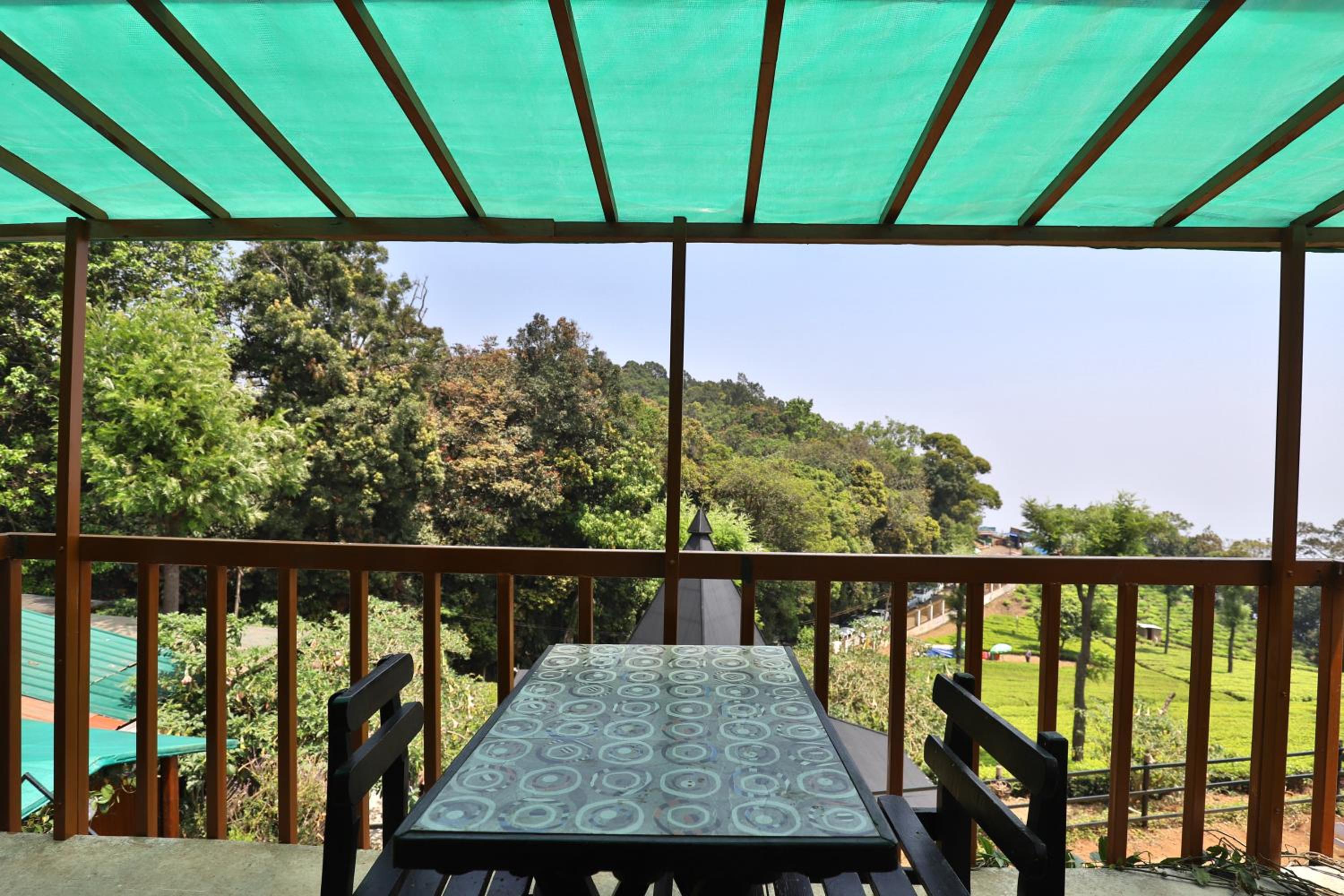 Rainforest Room - Photo 15