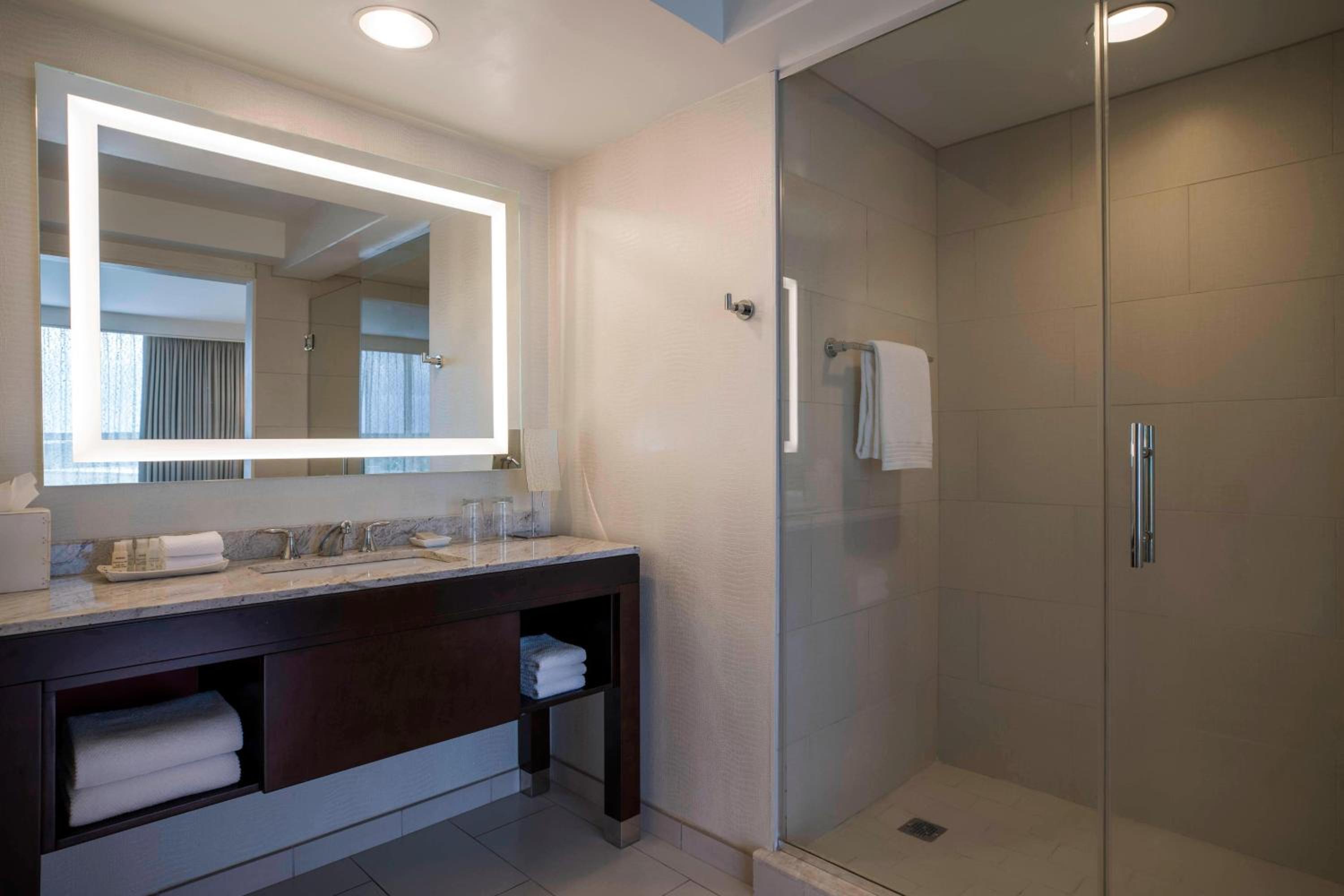 One-Bedroom Executive Suite  - Photo 3