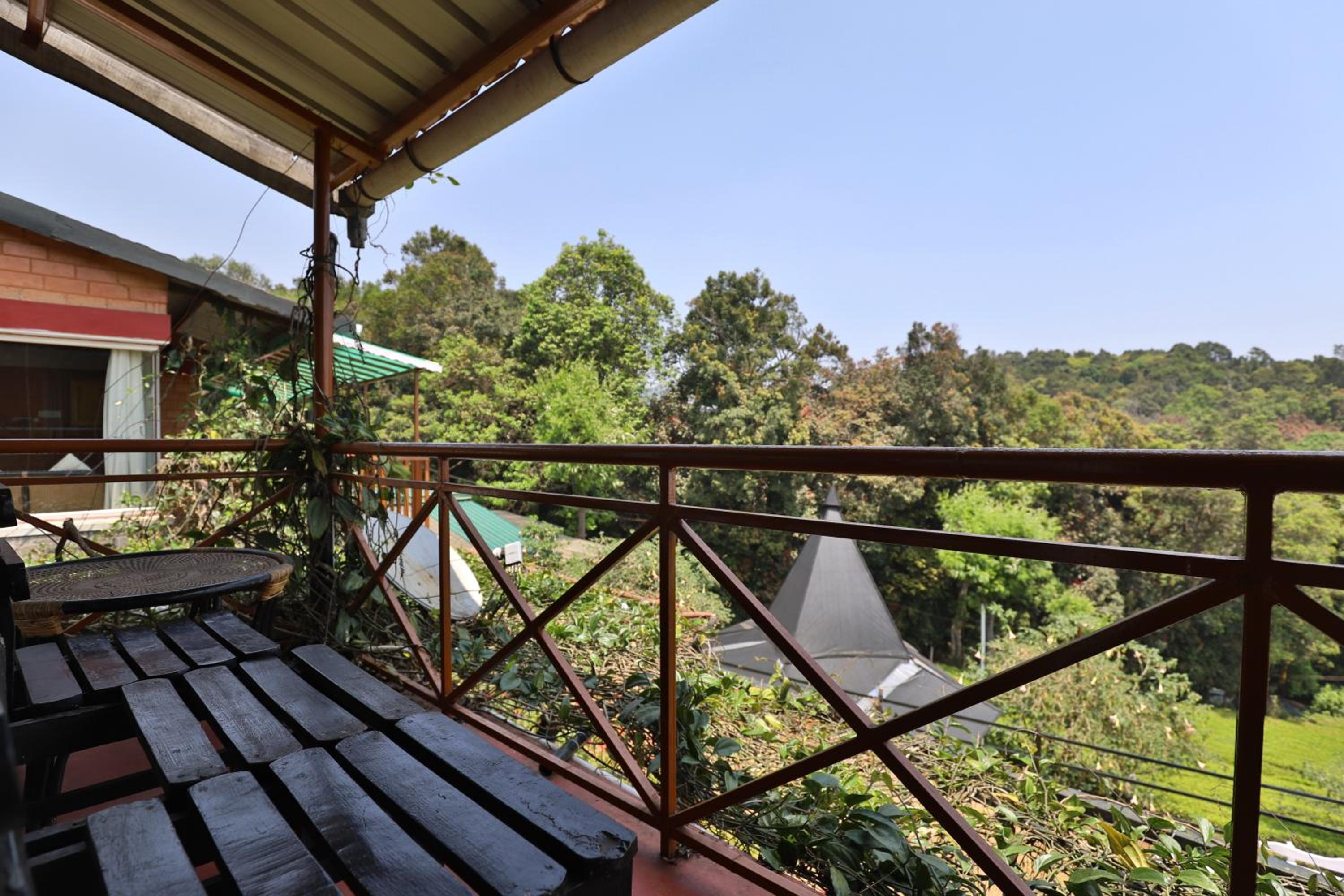 Rainforest Room - Photo 9