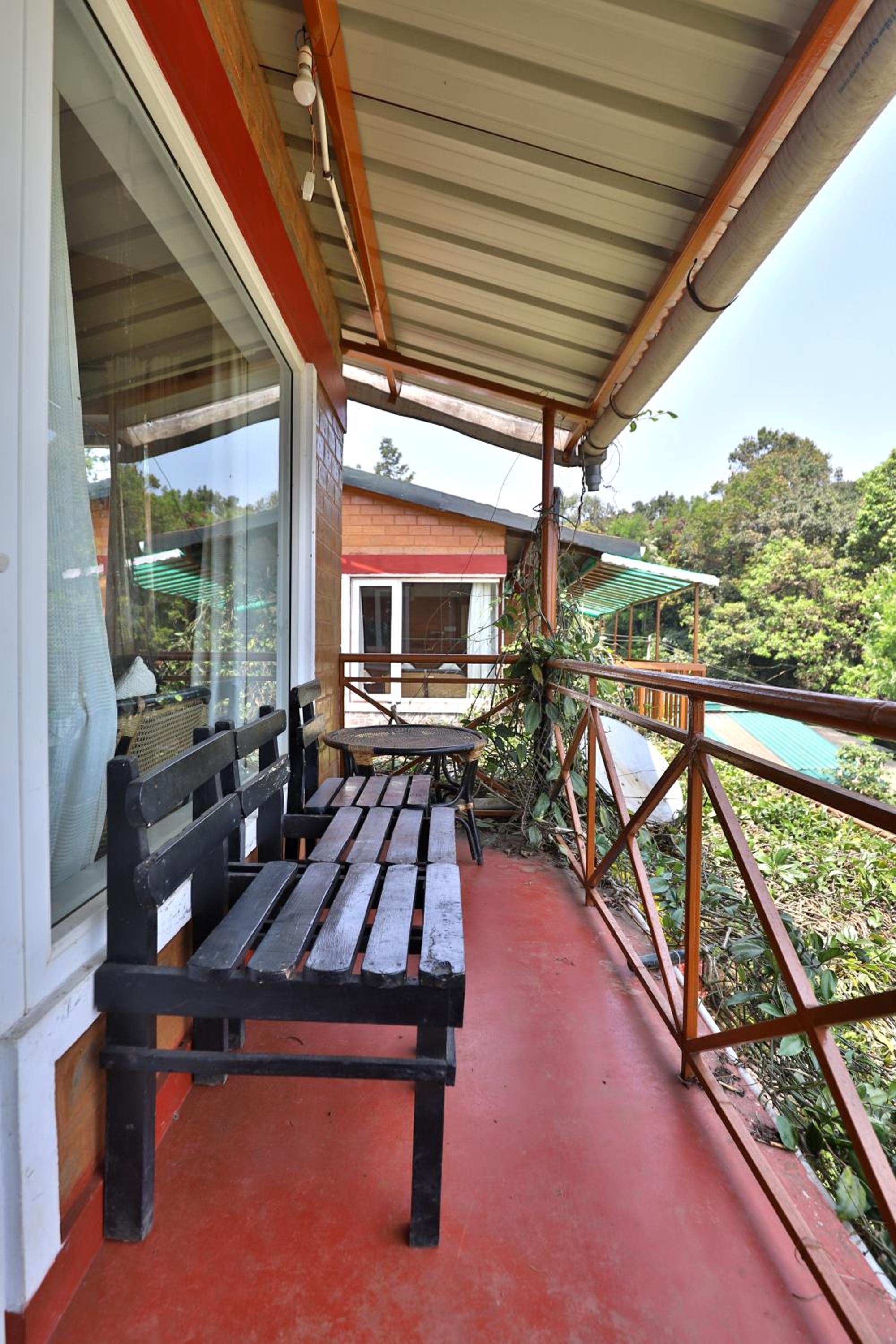 Rainforest Room - Photo 7