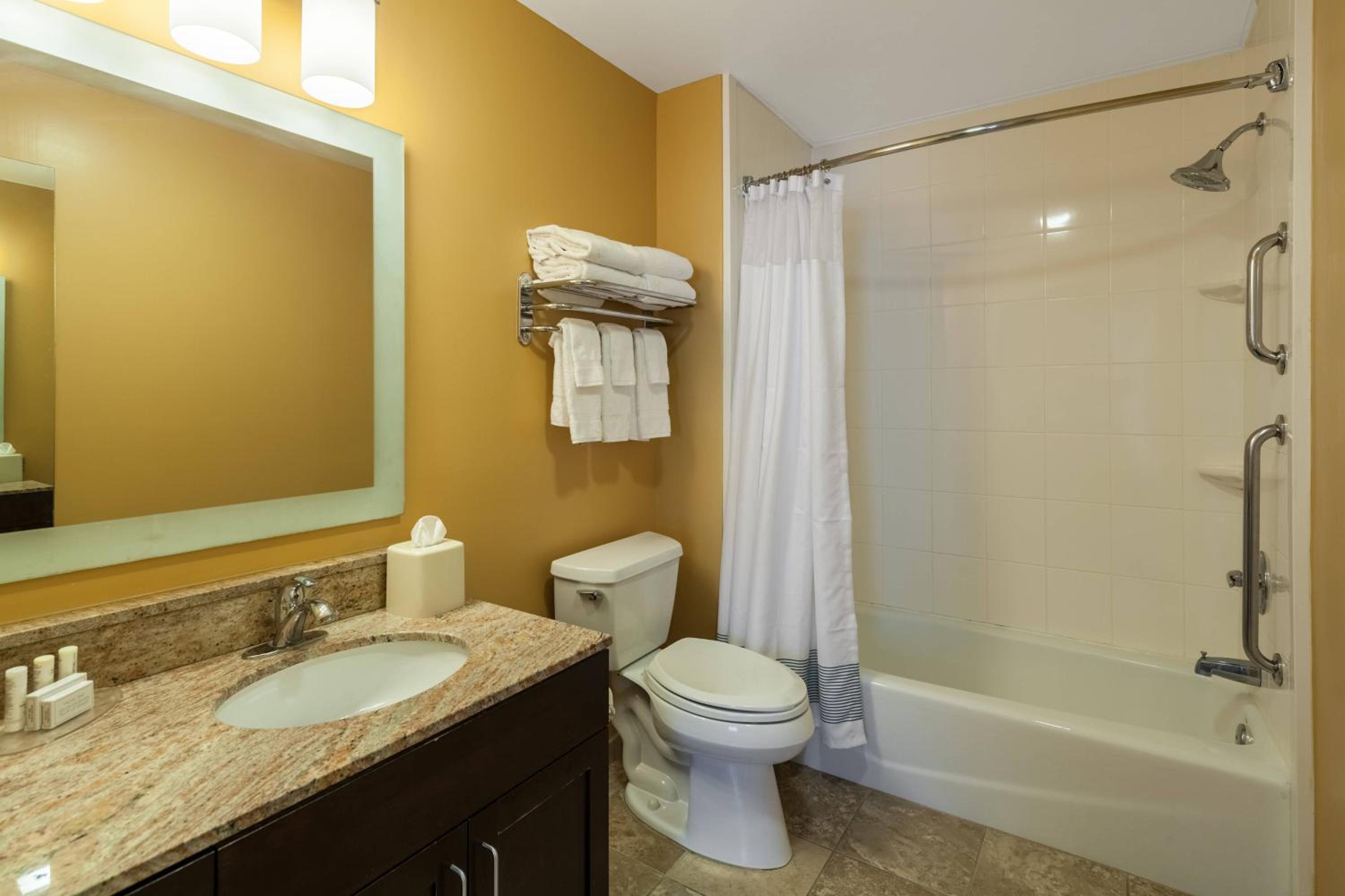 Two-Bedroom Suite - Photo 5