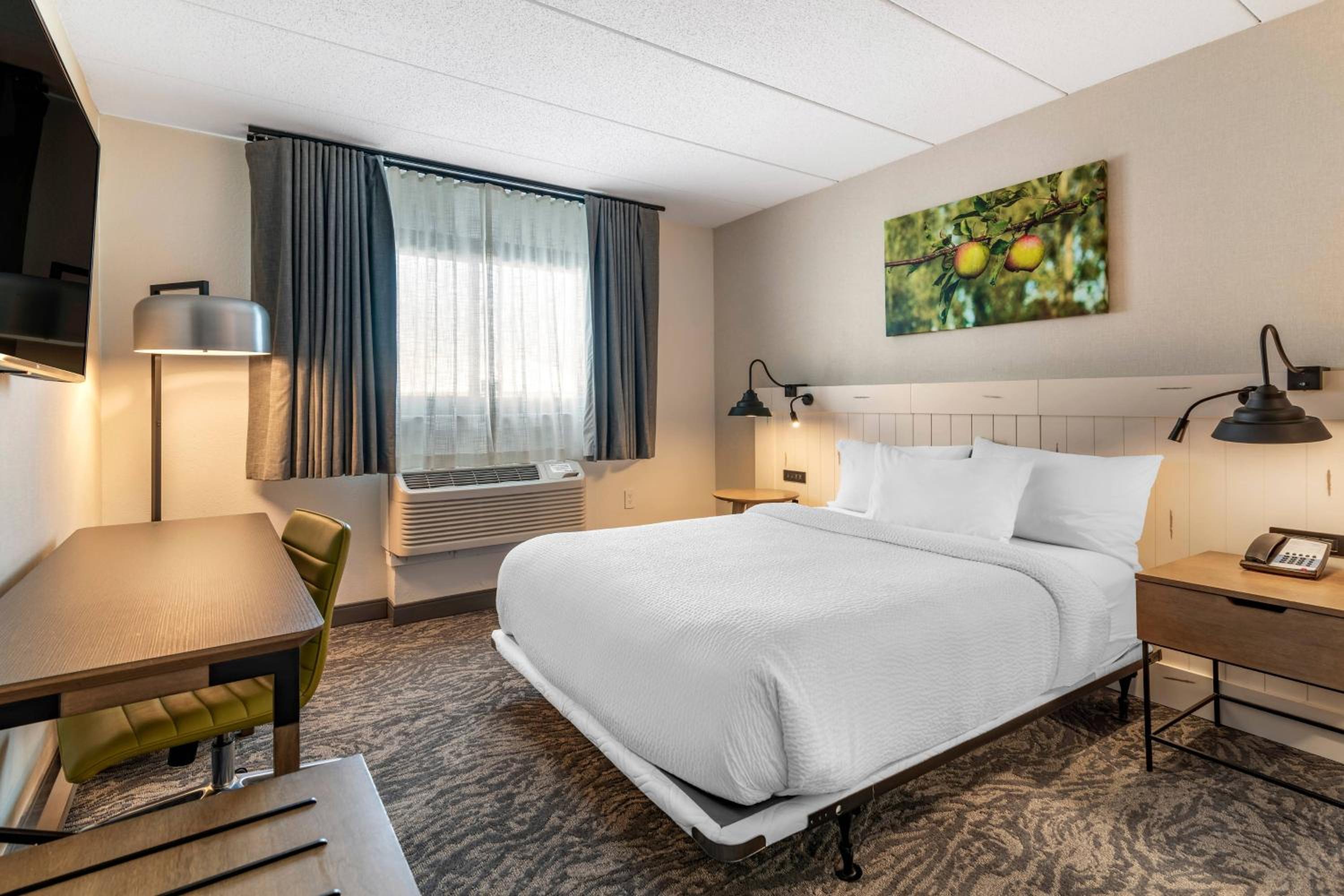 Queen Room with Roll-In Shower - Mobility Accessible - Photo 1