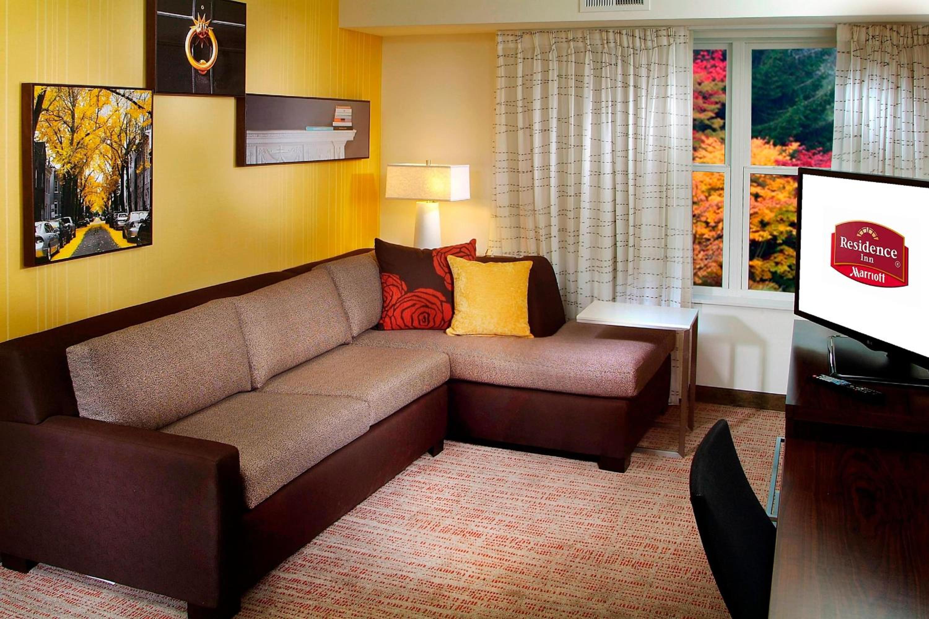 One-Bedroom Suite with Sofa Bed