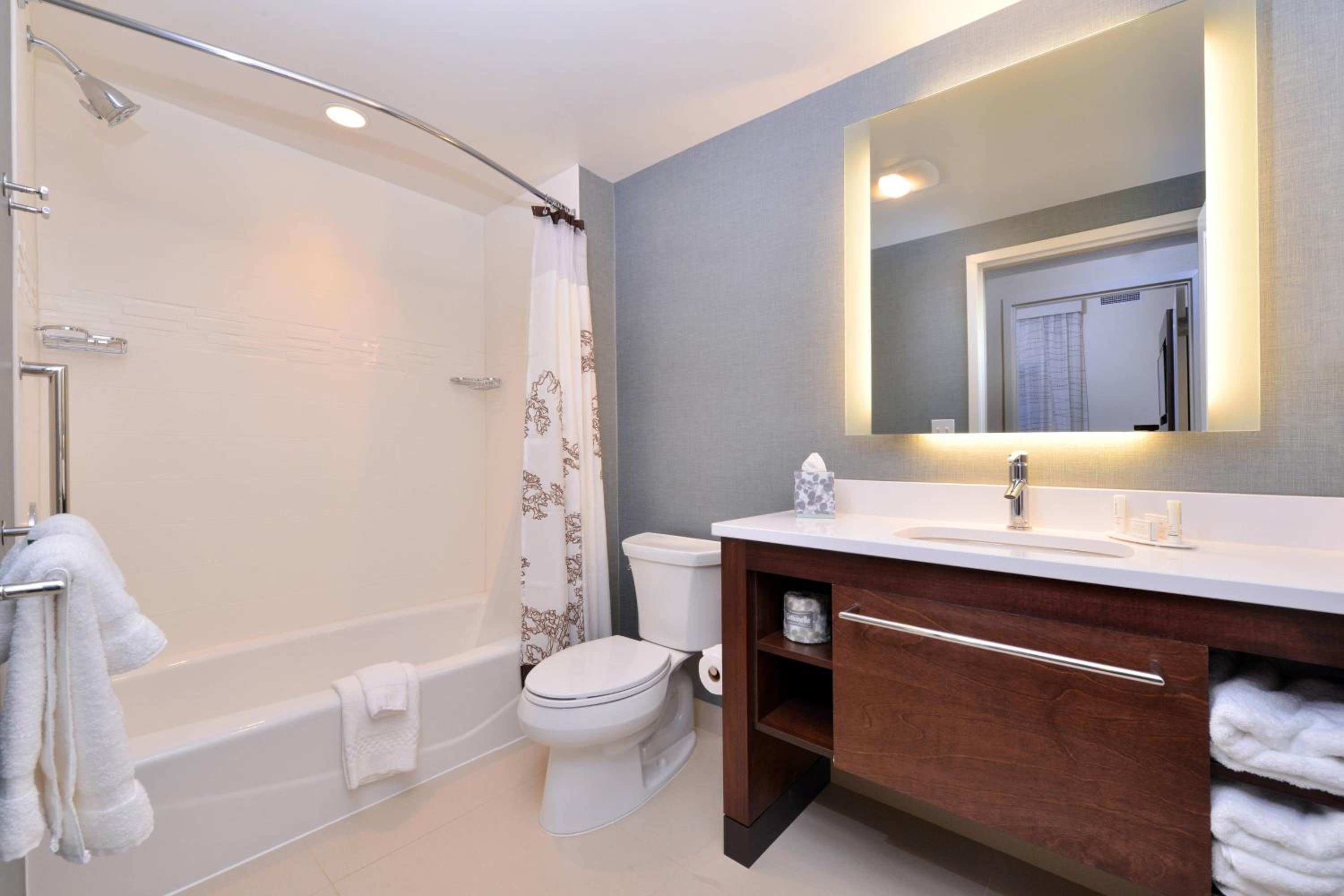 Two-Bedroom Suite with Adapted Tub - Mobility Accessible photo 3