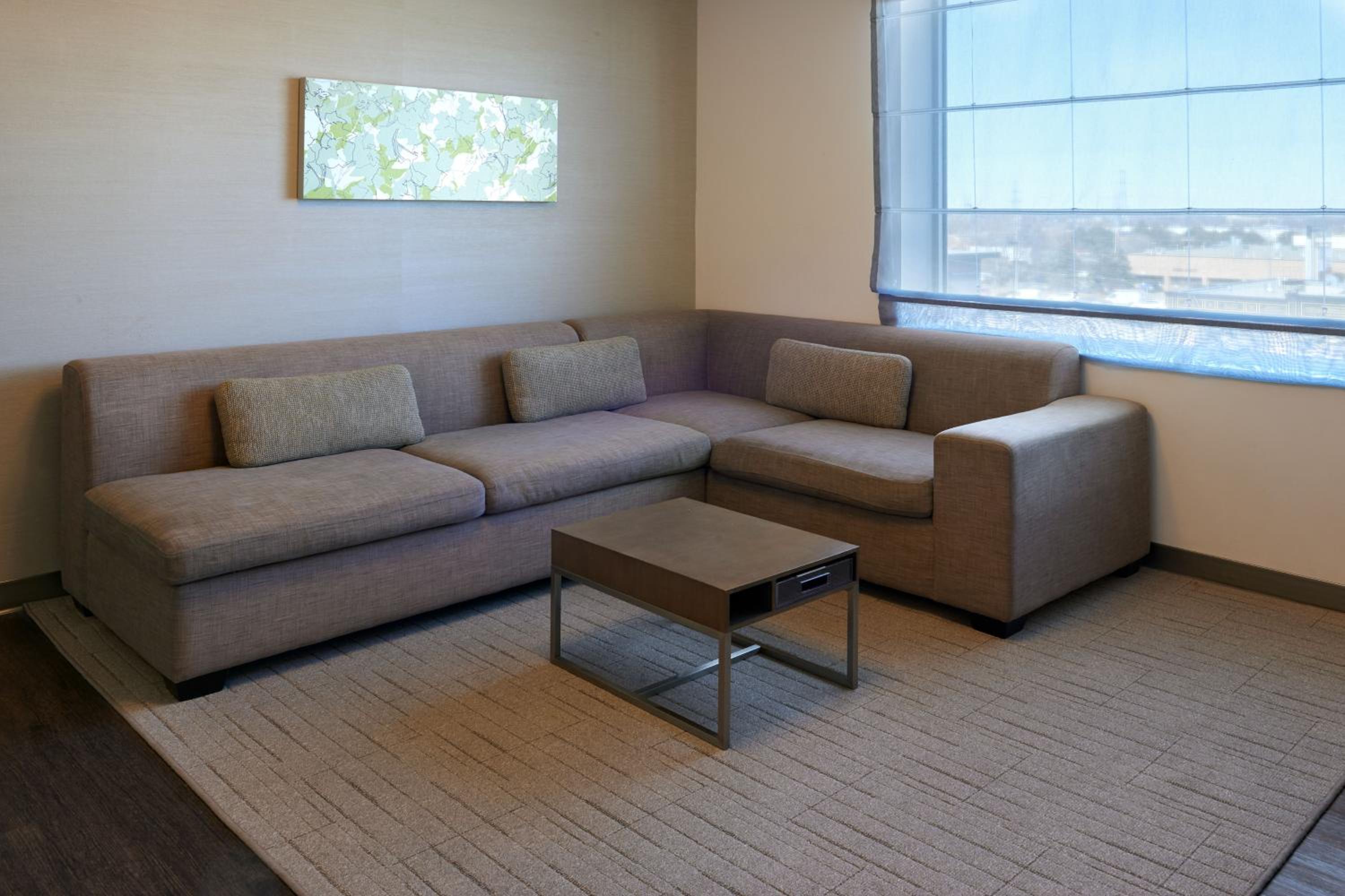 Executive Suite, 1 King, Sofa bed