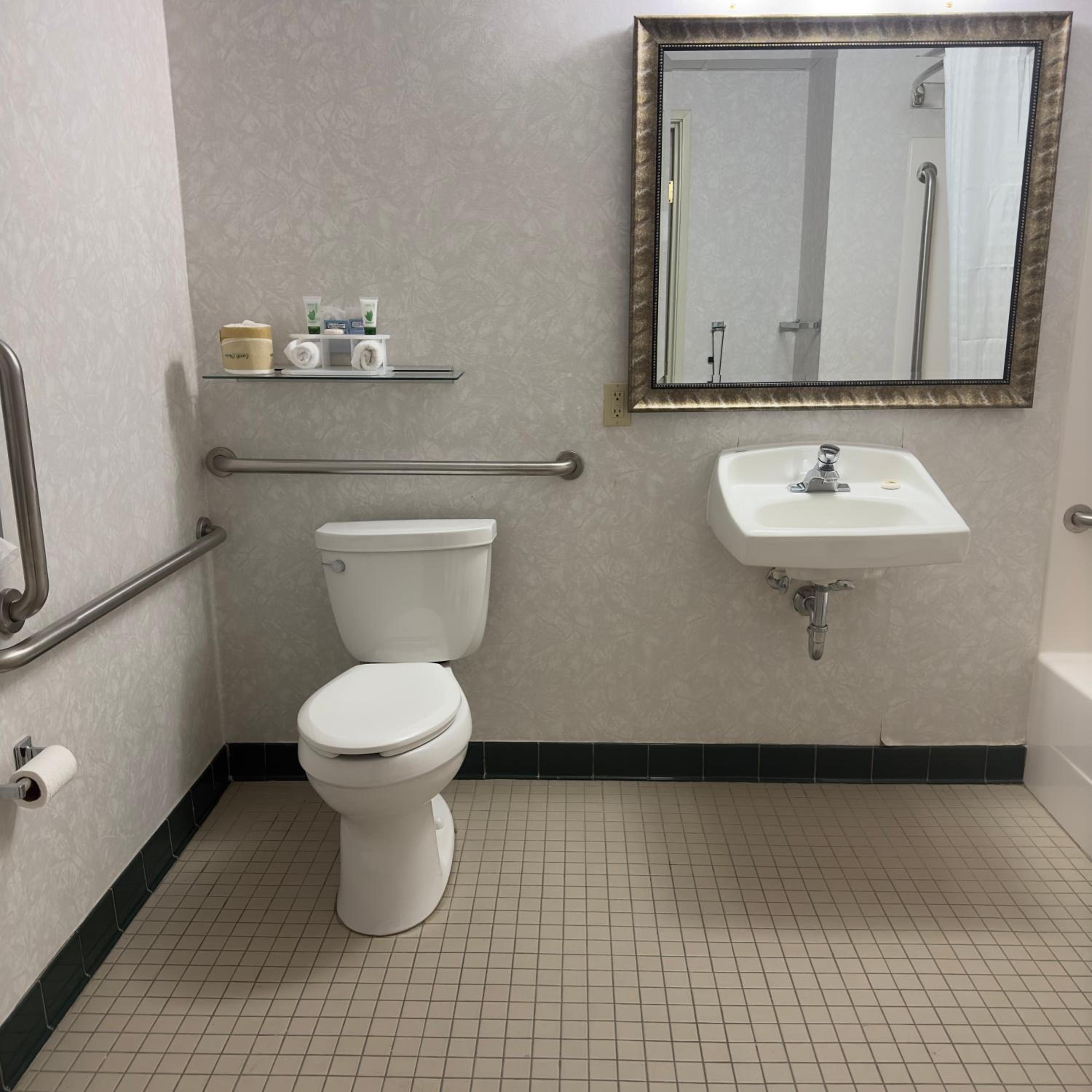 King Suite - Disability Access photo 3