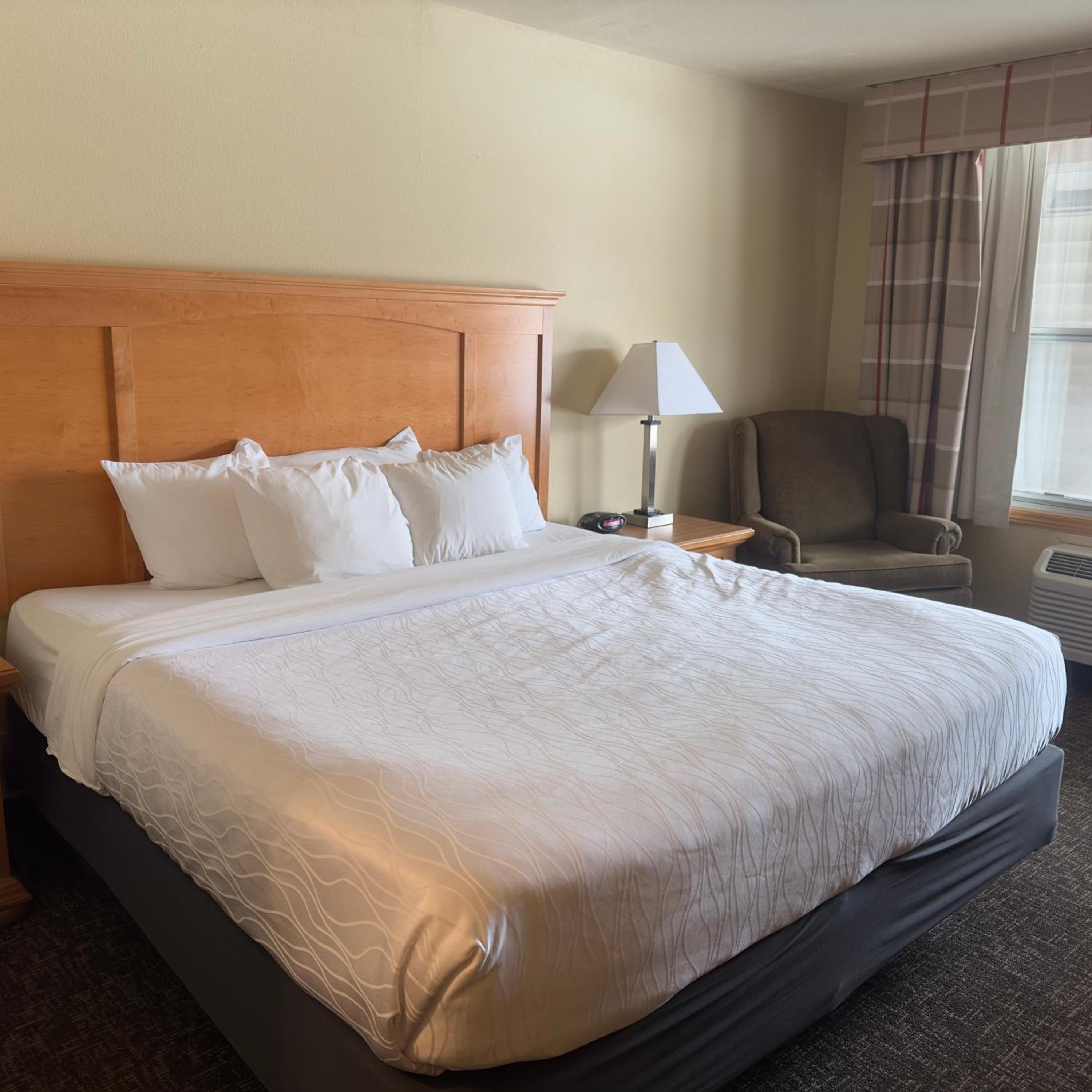 King Suite - Disability Access photo 1