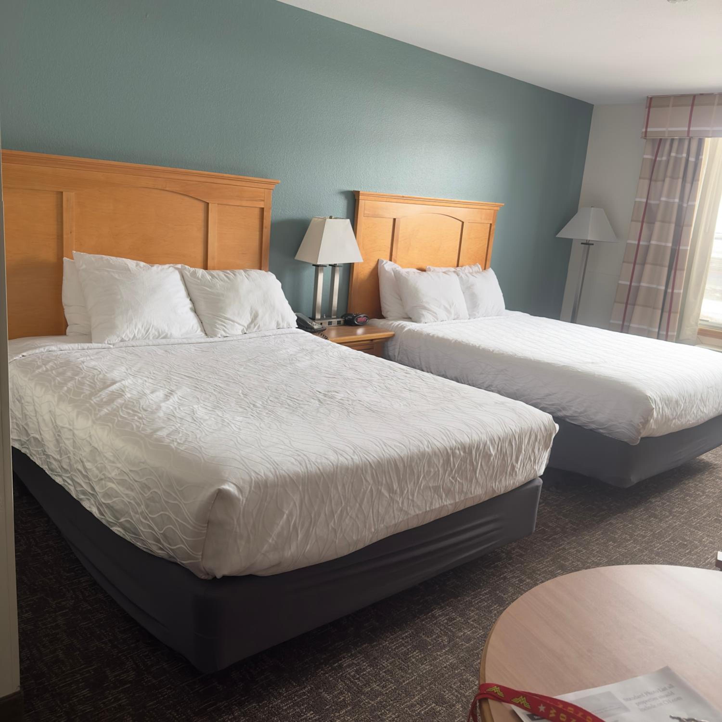 Queen Room with Two Queen Beds - Disability Access photo 2