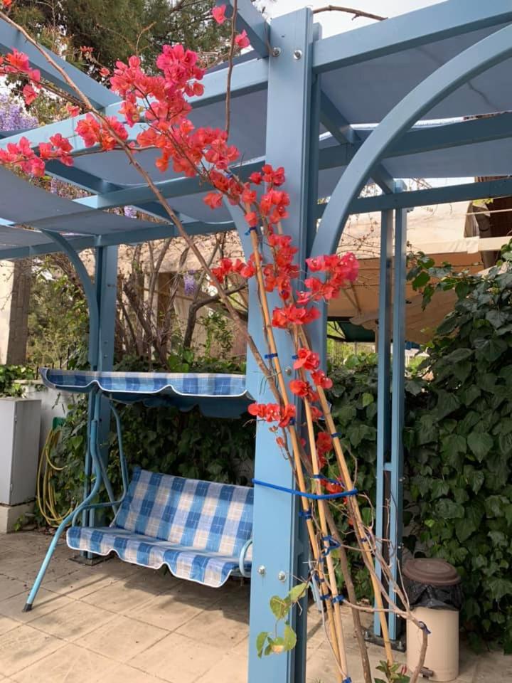 Deluxe Bungalow with Garden View photo 3