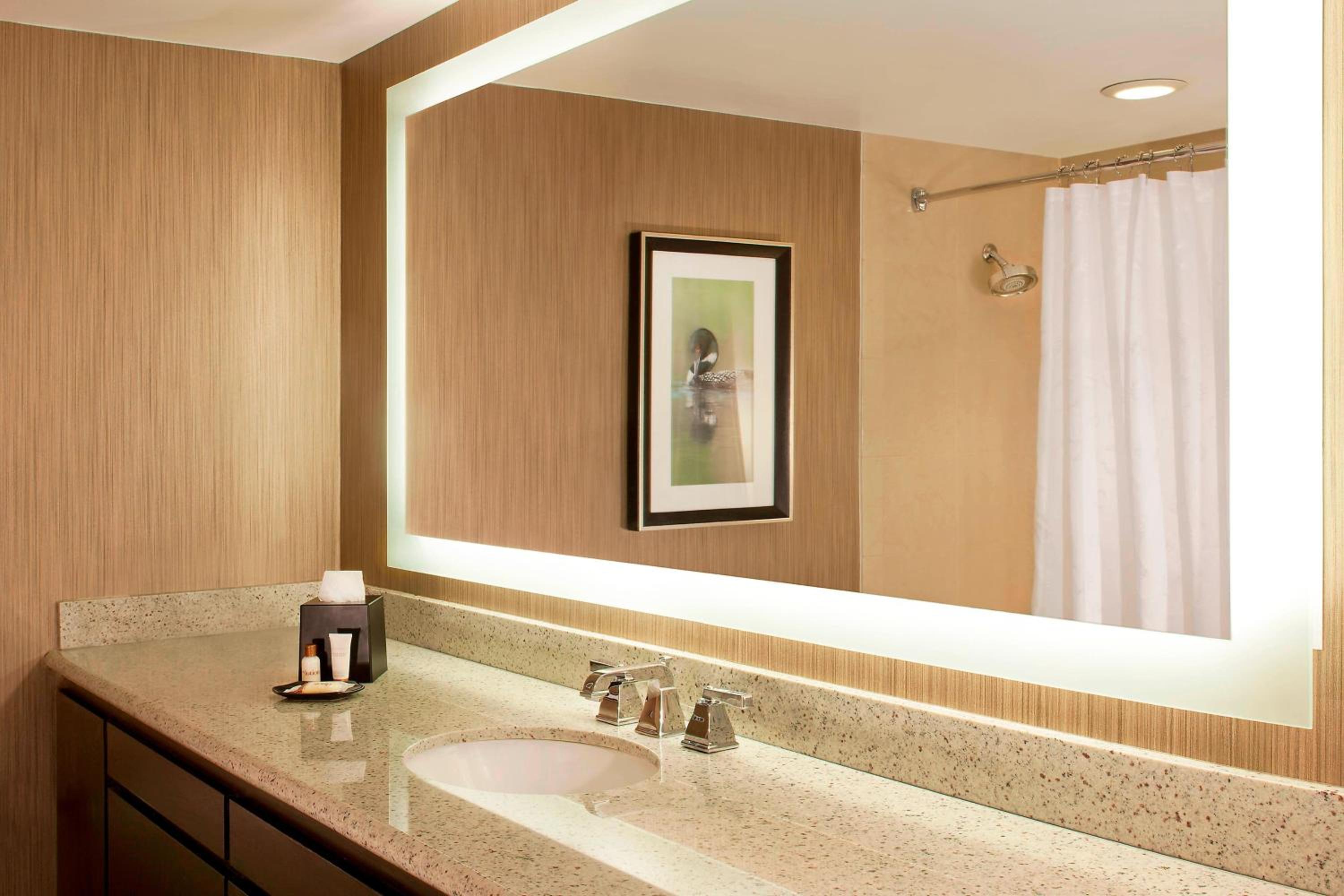 Traditional King, Guest room, 1 King - Photo 12