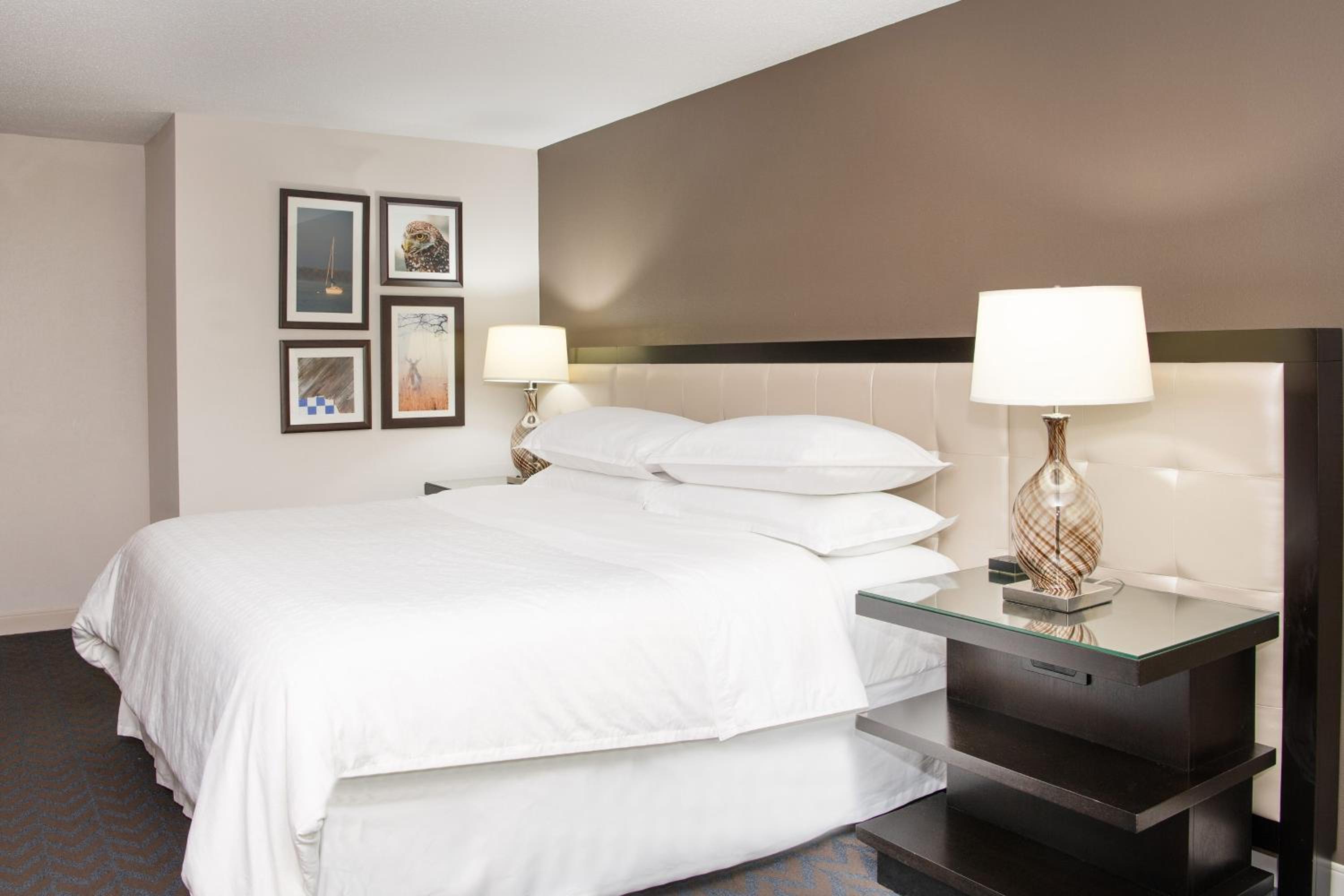 Traditional King, Guest room, 1 King - Photo 11