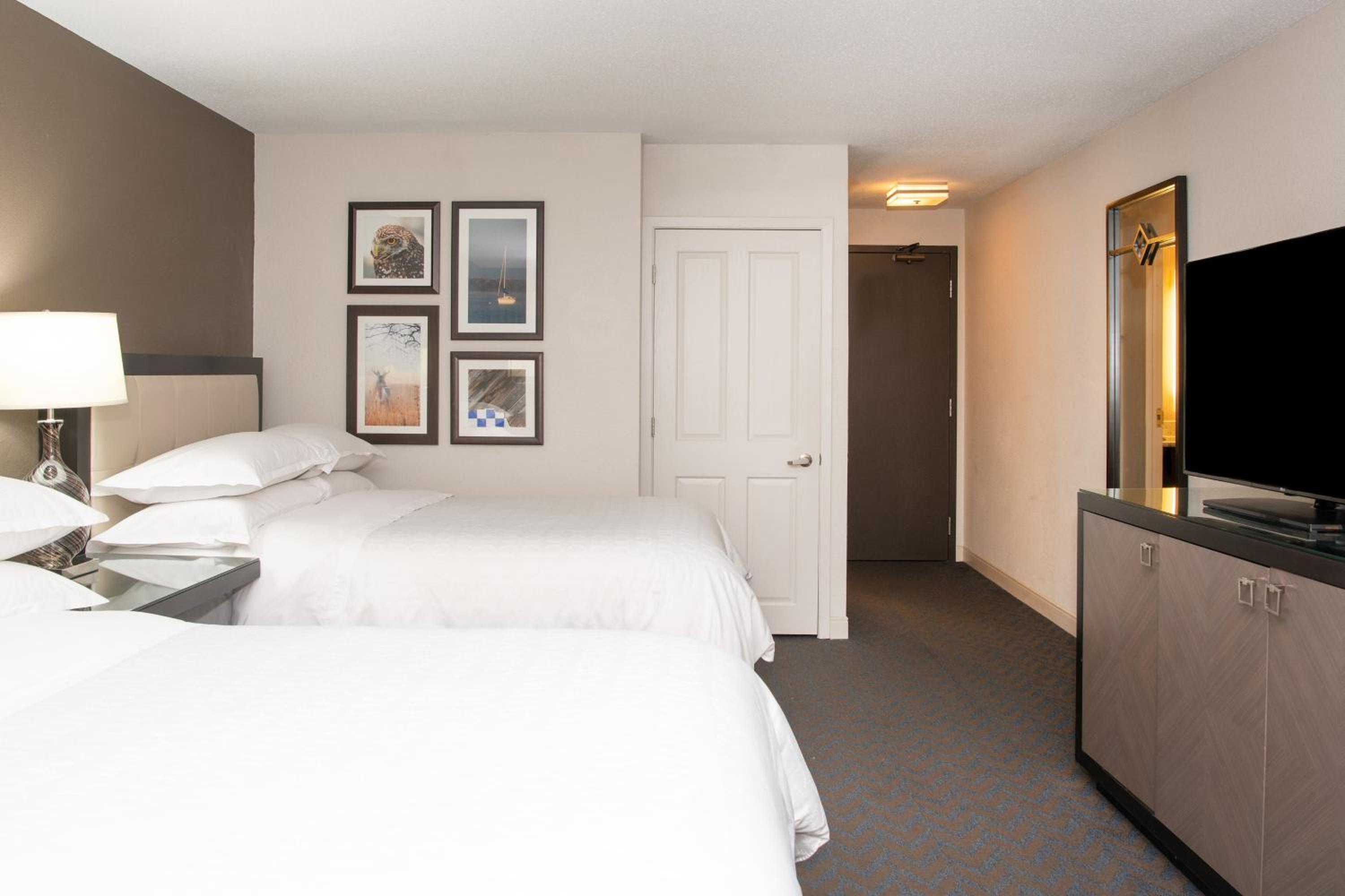 Traditional 2 Beds, Guest room, 2 Double - Photo 10