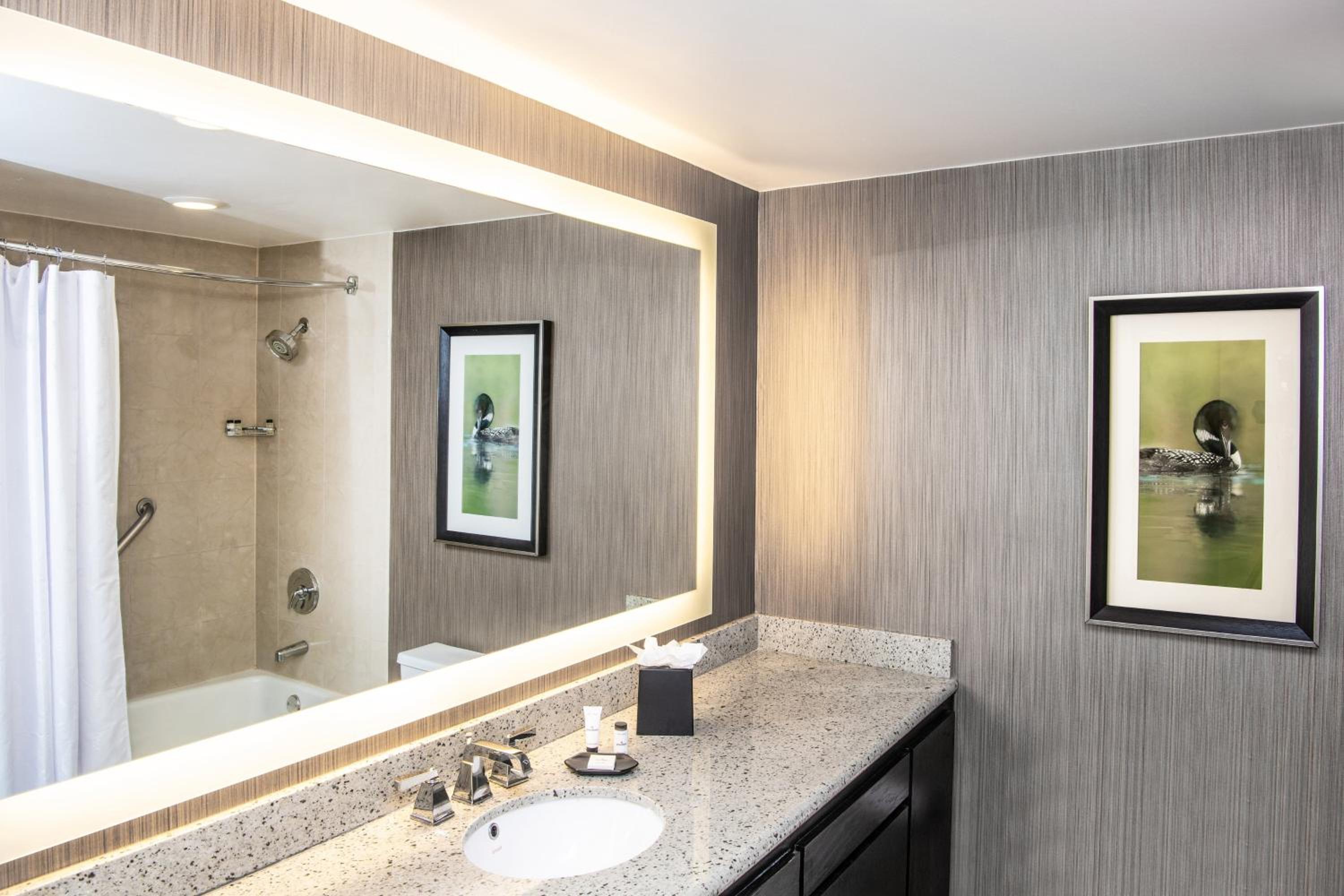 Traditional King, Guest room, 1 King - Photo 9