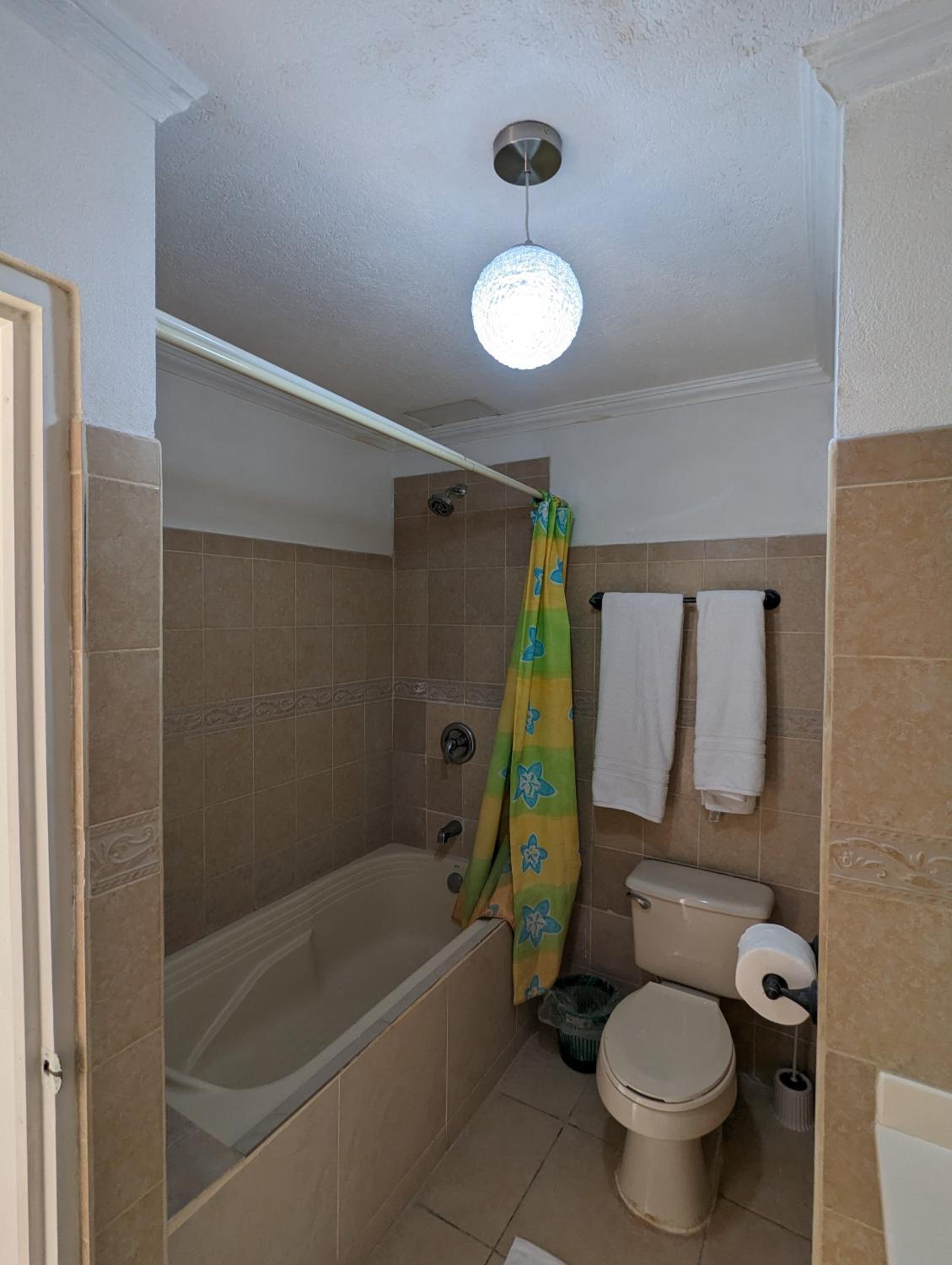 One-Bedroom Apartment photo 3
