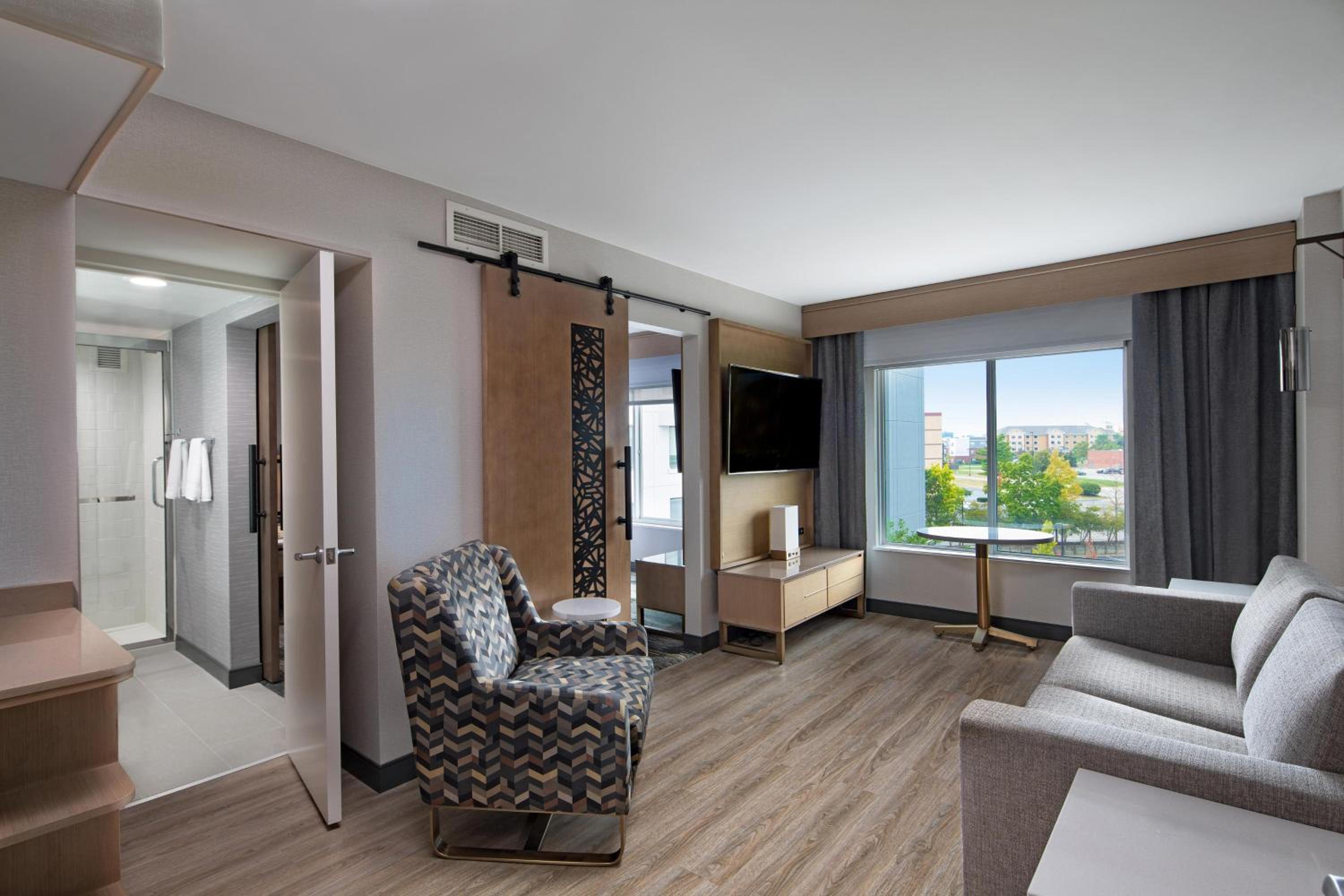 Suite, 1 King, Sofa bed - Photo 4
