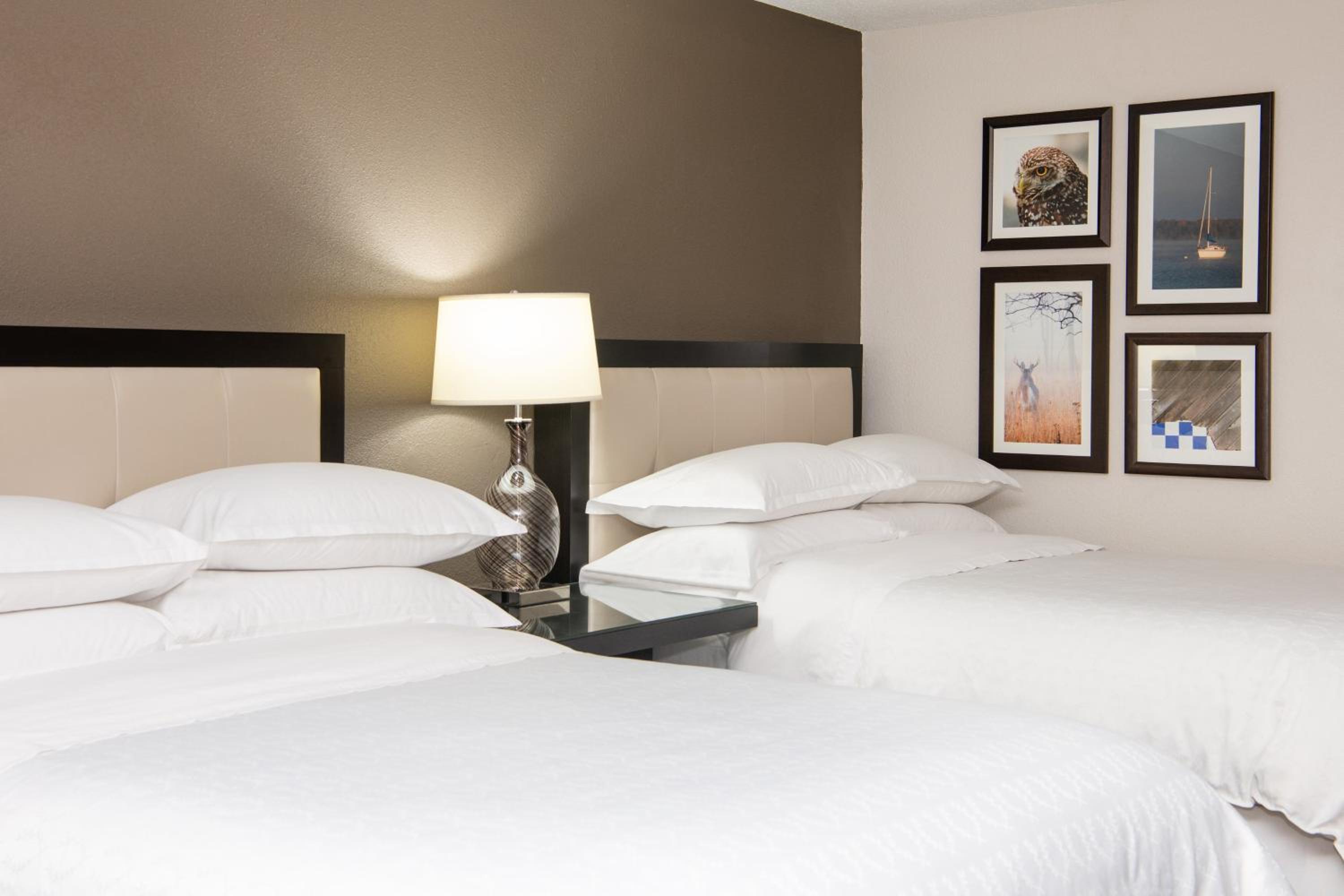 Traditional 2 Beds, Guest room, 2 Double - Photo 3