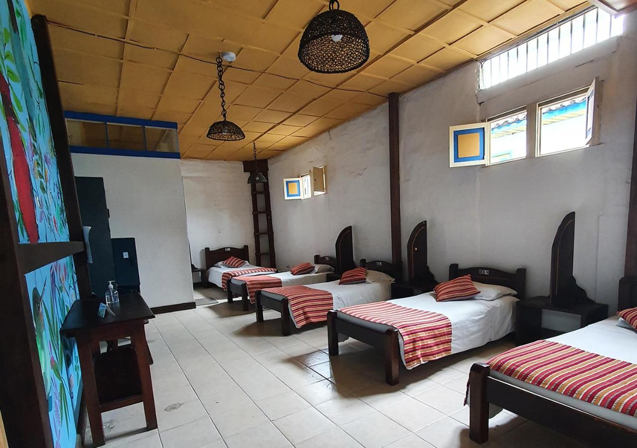 Single Bed in Mixed Dormitory Room photo 1