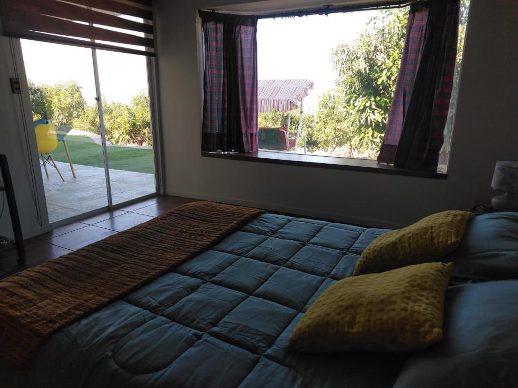 Three-Bedroom House photo 2