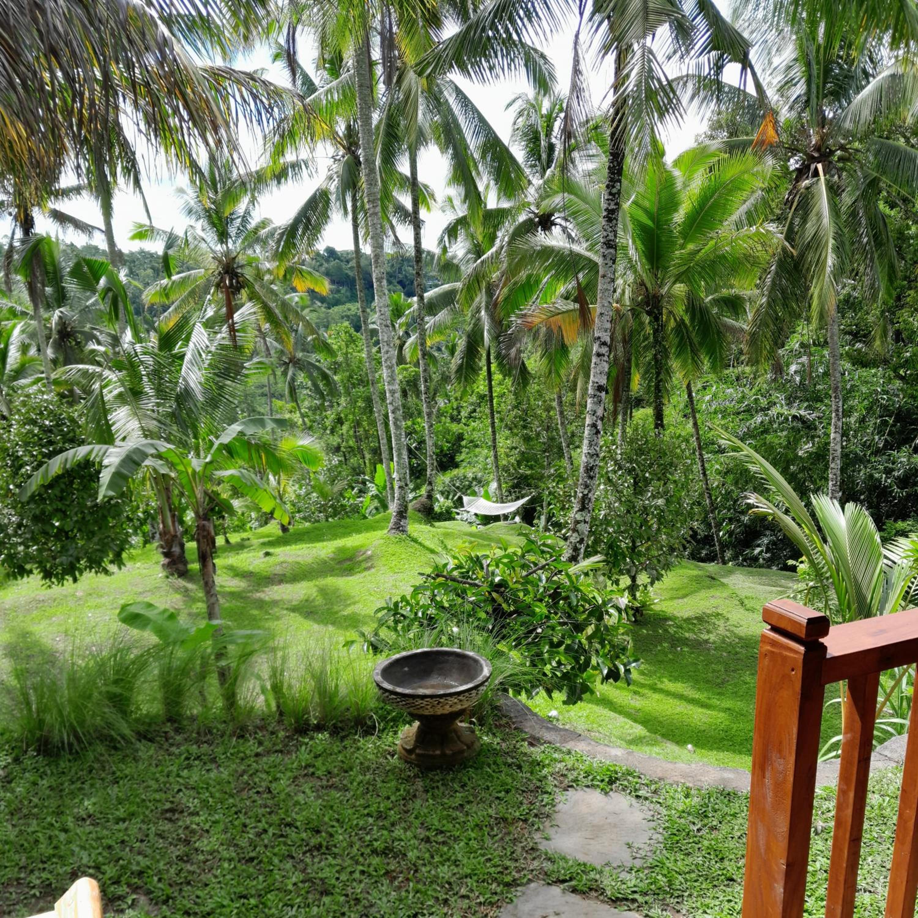 Standard Double Room - Photo 7