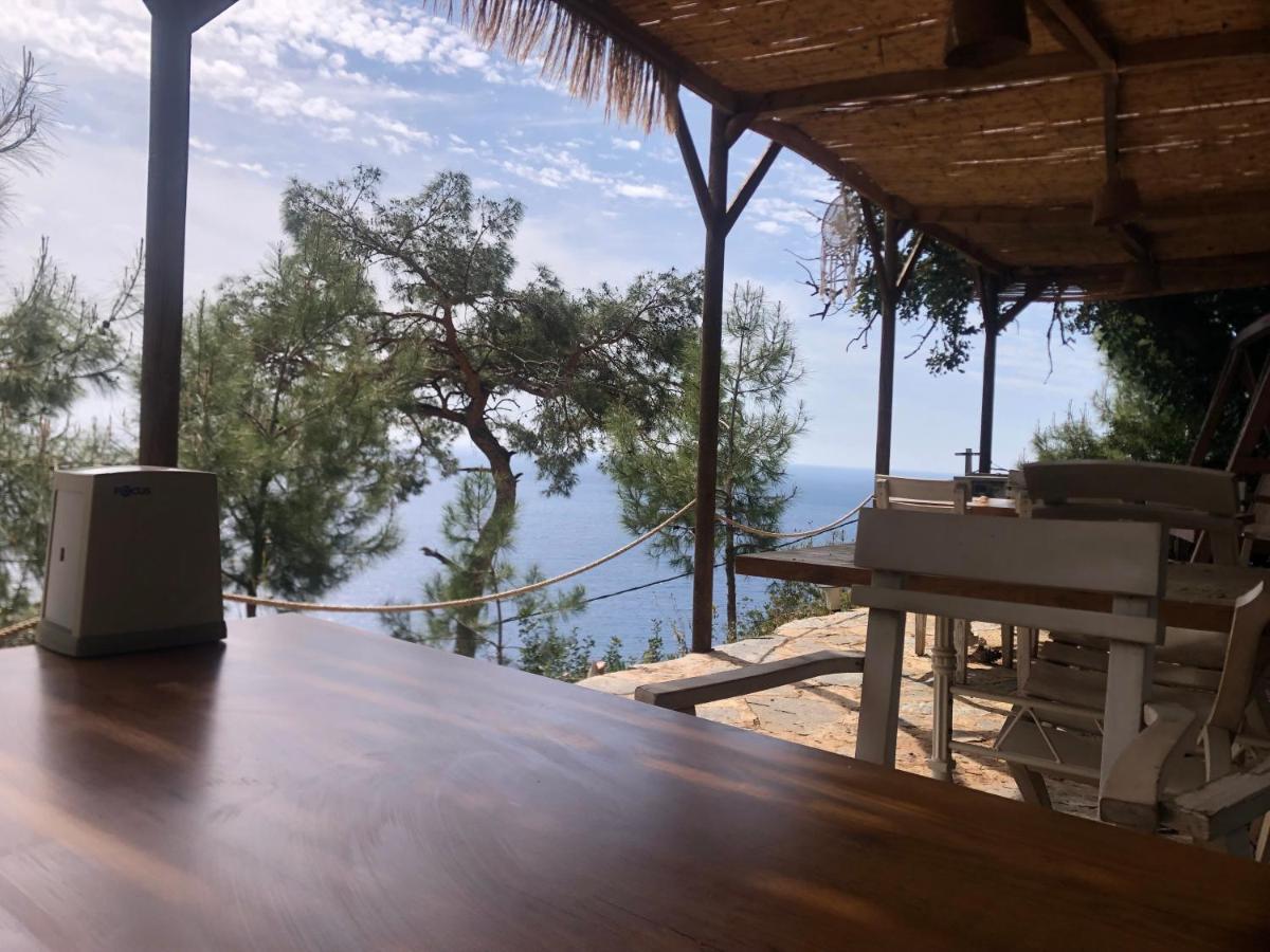 Deluxe Bungalow with Sea View photo 3