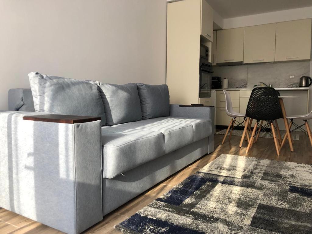 One-Bedroom Apartment photo 3