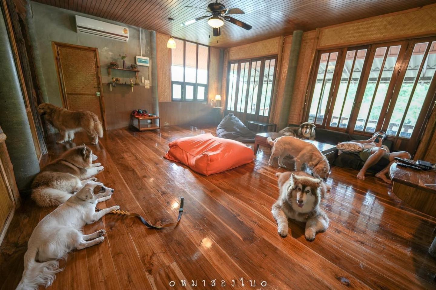 Three-Bedroom Chalet - Photo 9