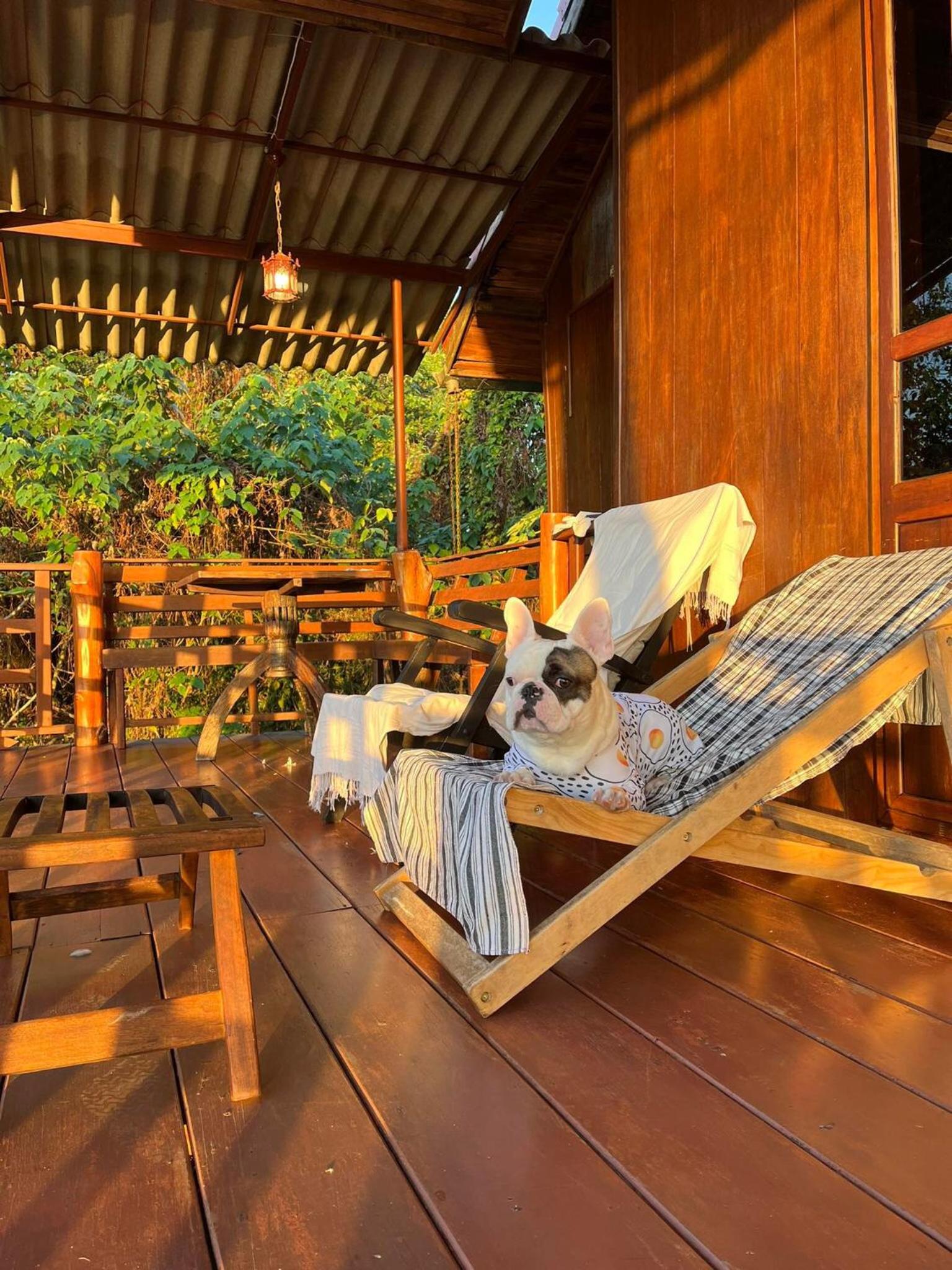 One-Bedroom Chalet - Photo 18
